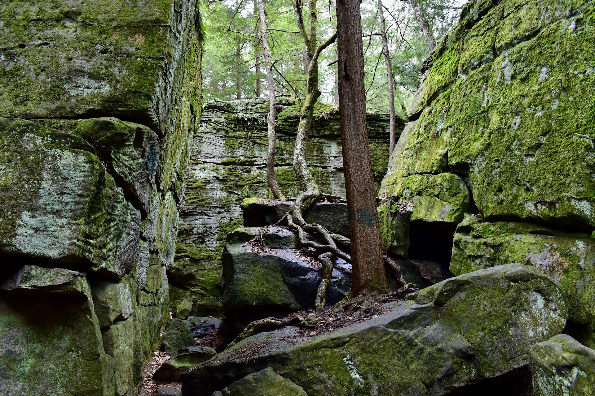 Bilger's Rocks