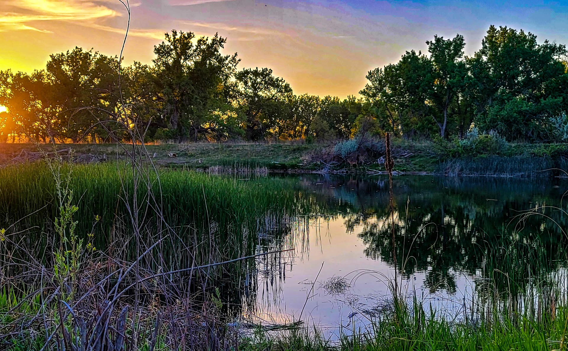 Tamarack Ranch State Wildlife Area