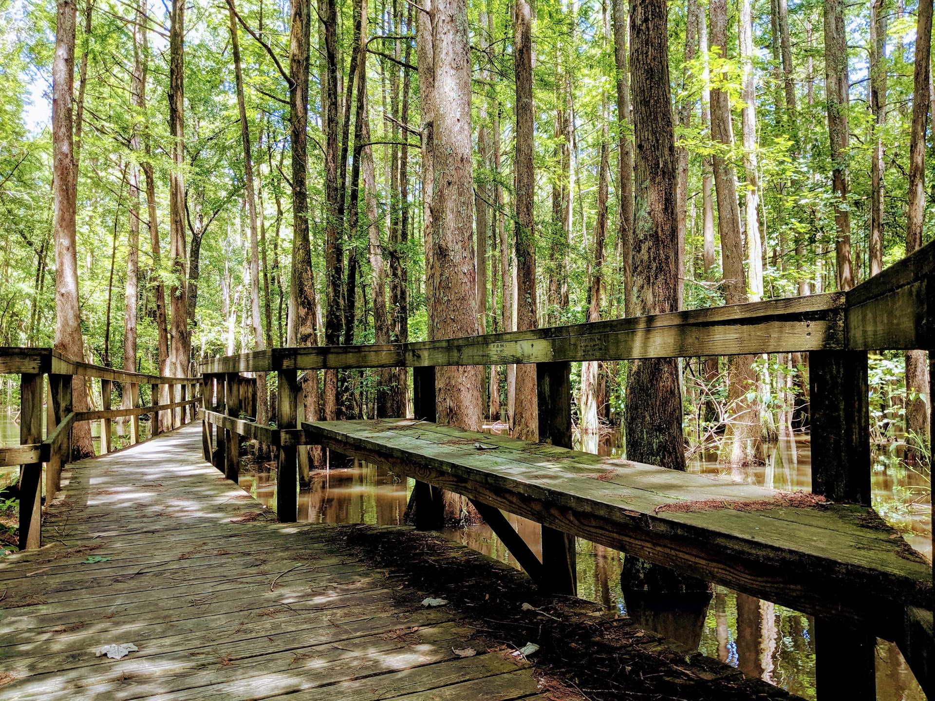 Bluff Lake Boardwalk