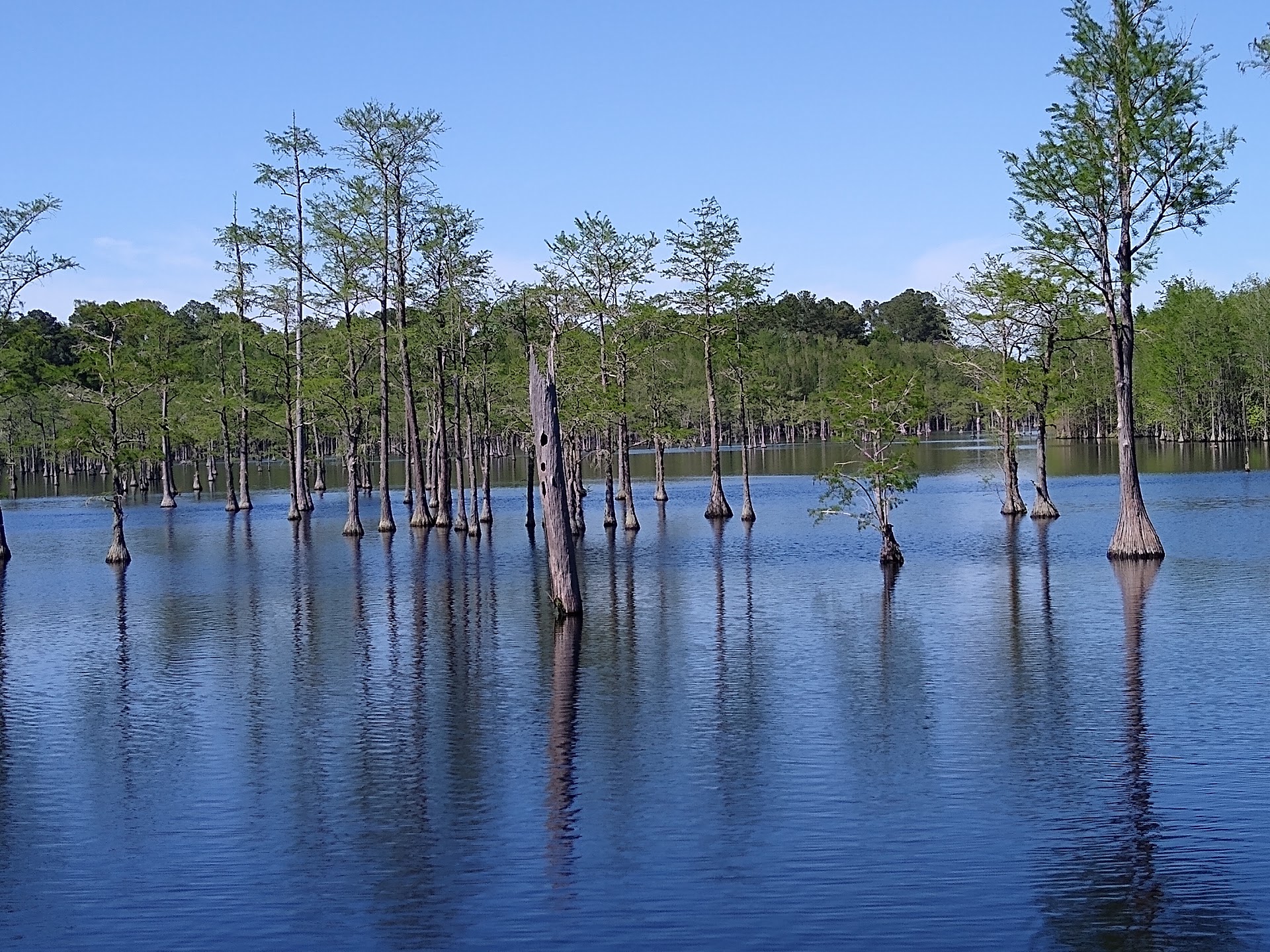 George L. Smith State Park