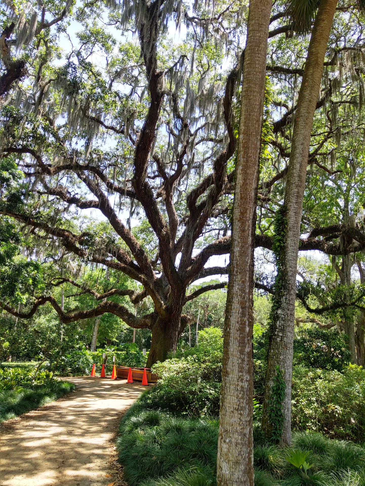 Washington Oaks Gardens State Park
