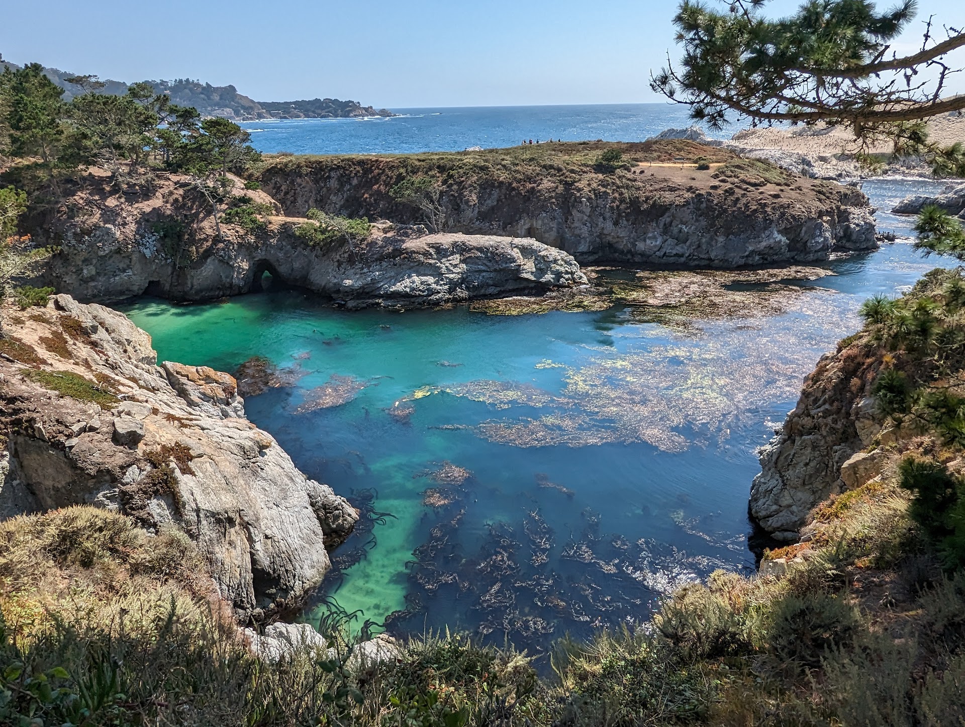 Point Lobos State Natural Reserve