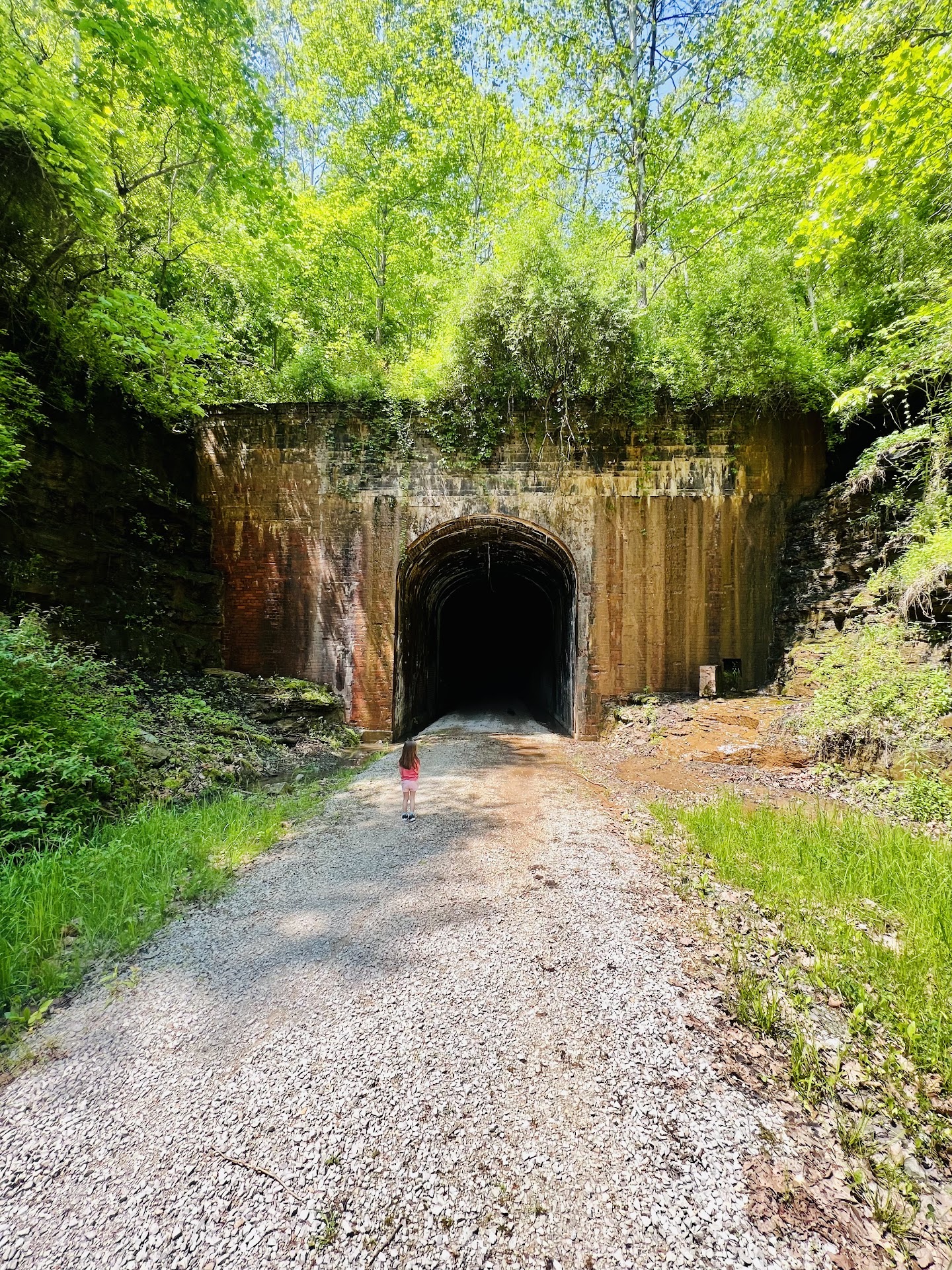 Silver Run Tunnel #19
