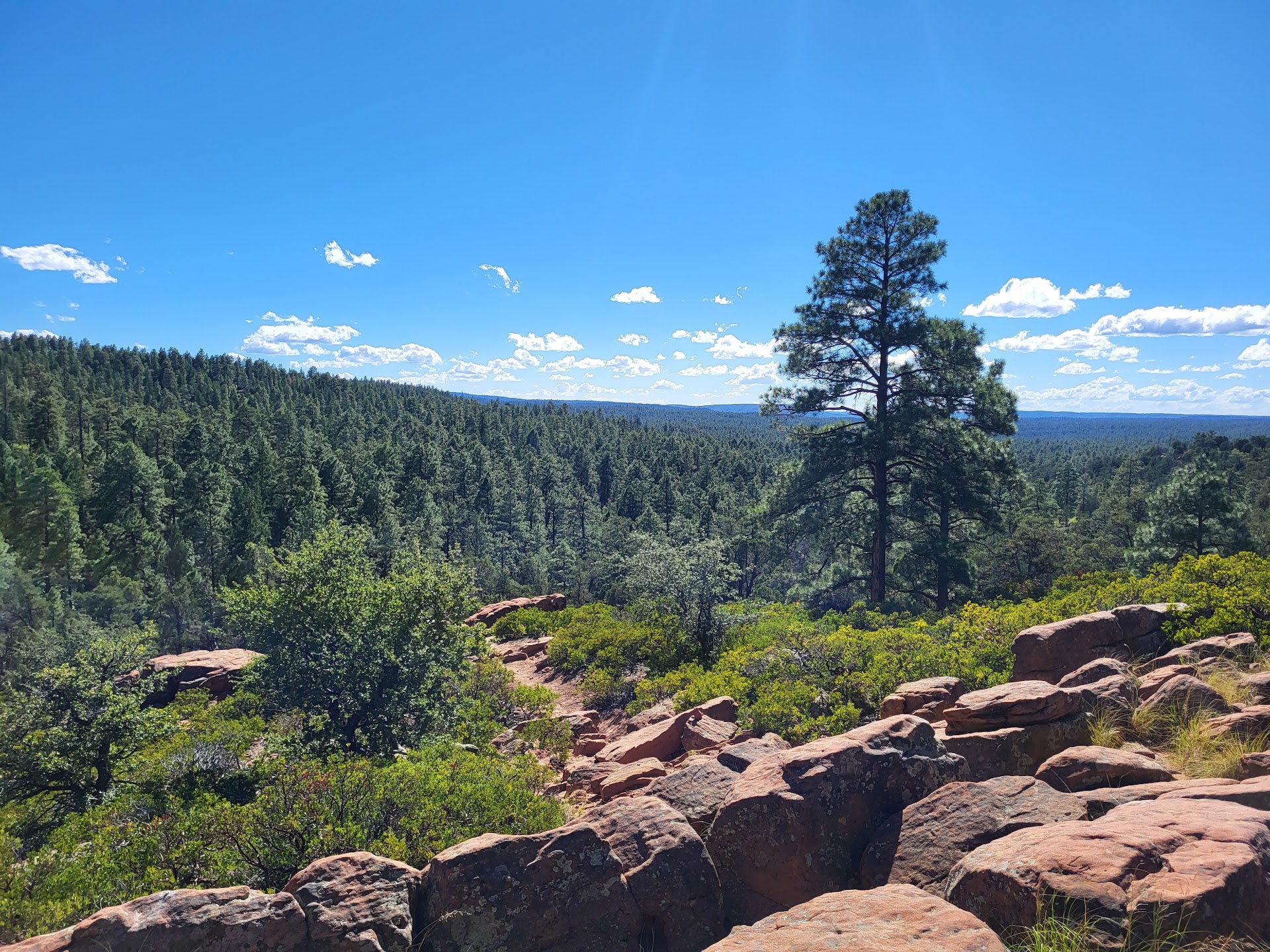 Mogollon Rim Trail