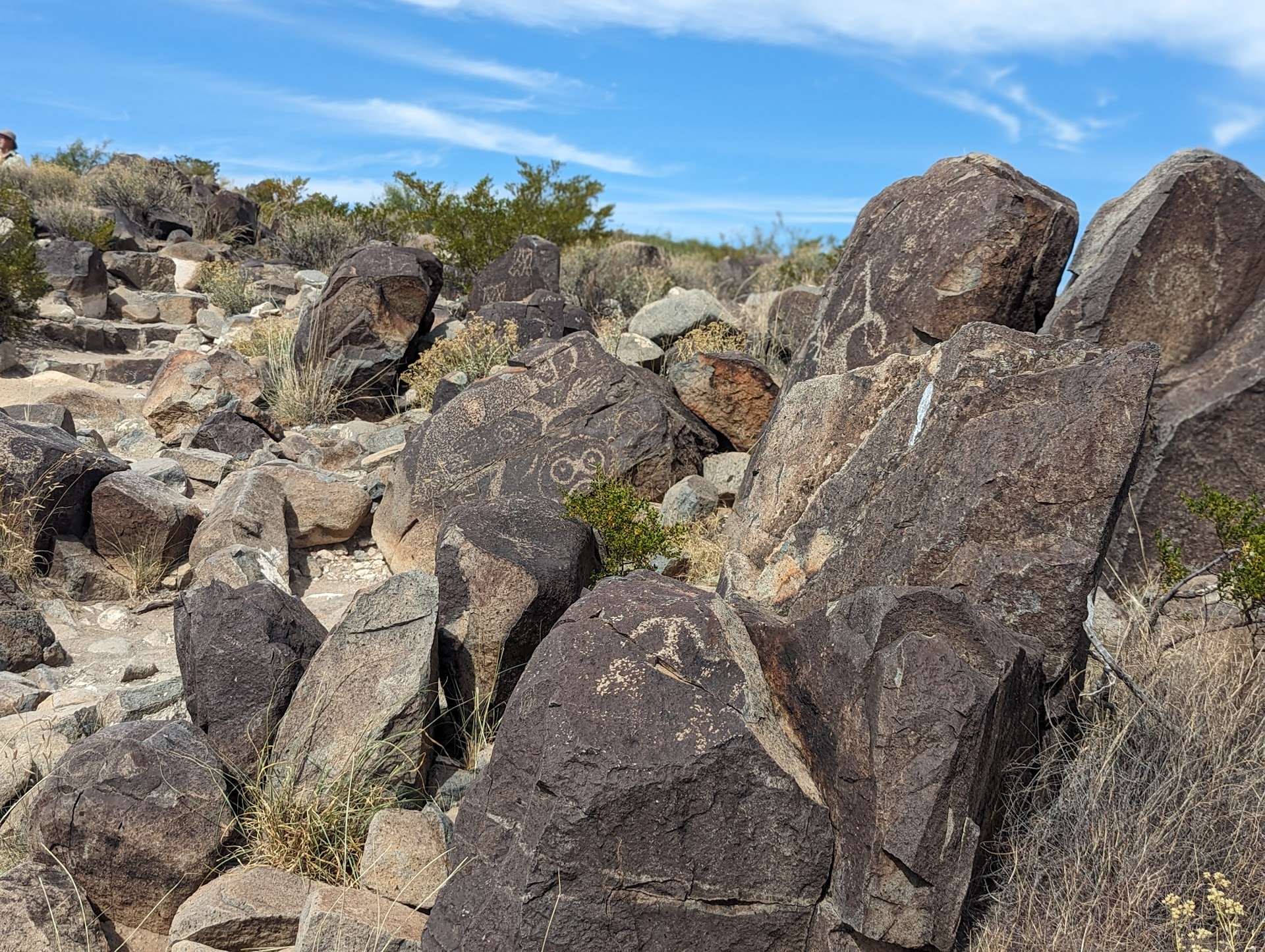 Three Rivers Petroglyph Site