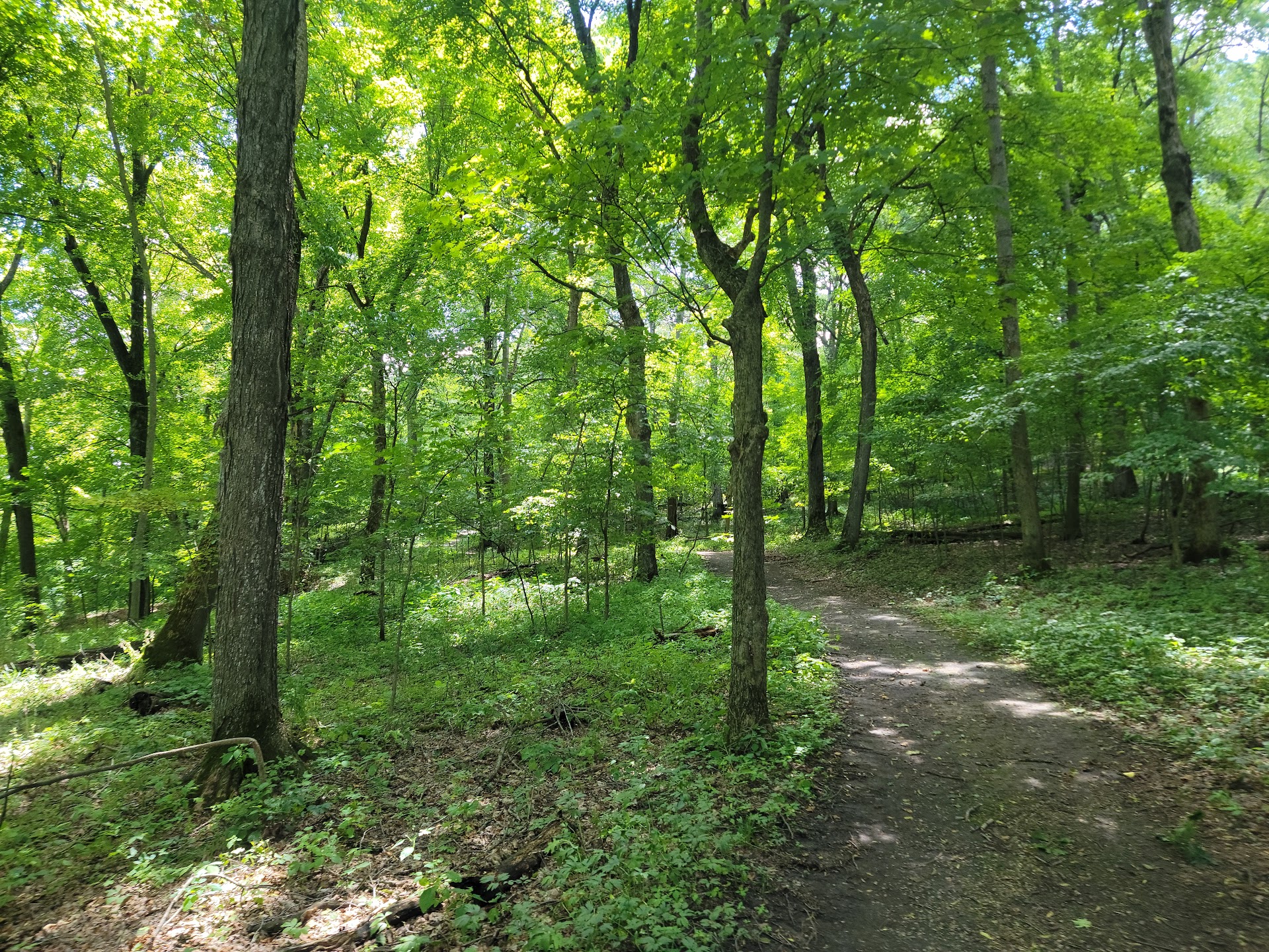 Oxbow Park & Zollman Zoo