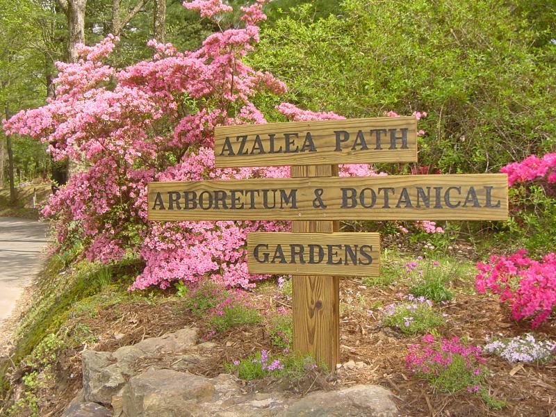 Azalea Path