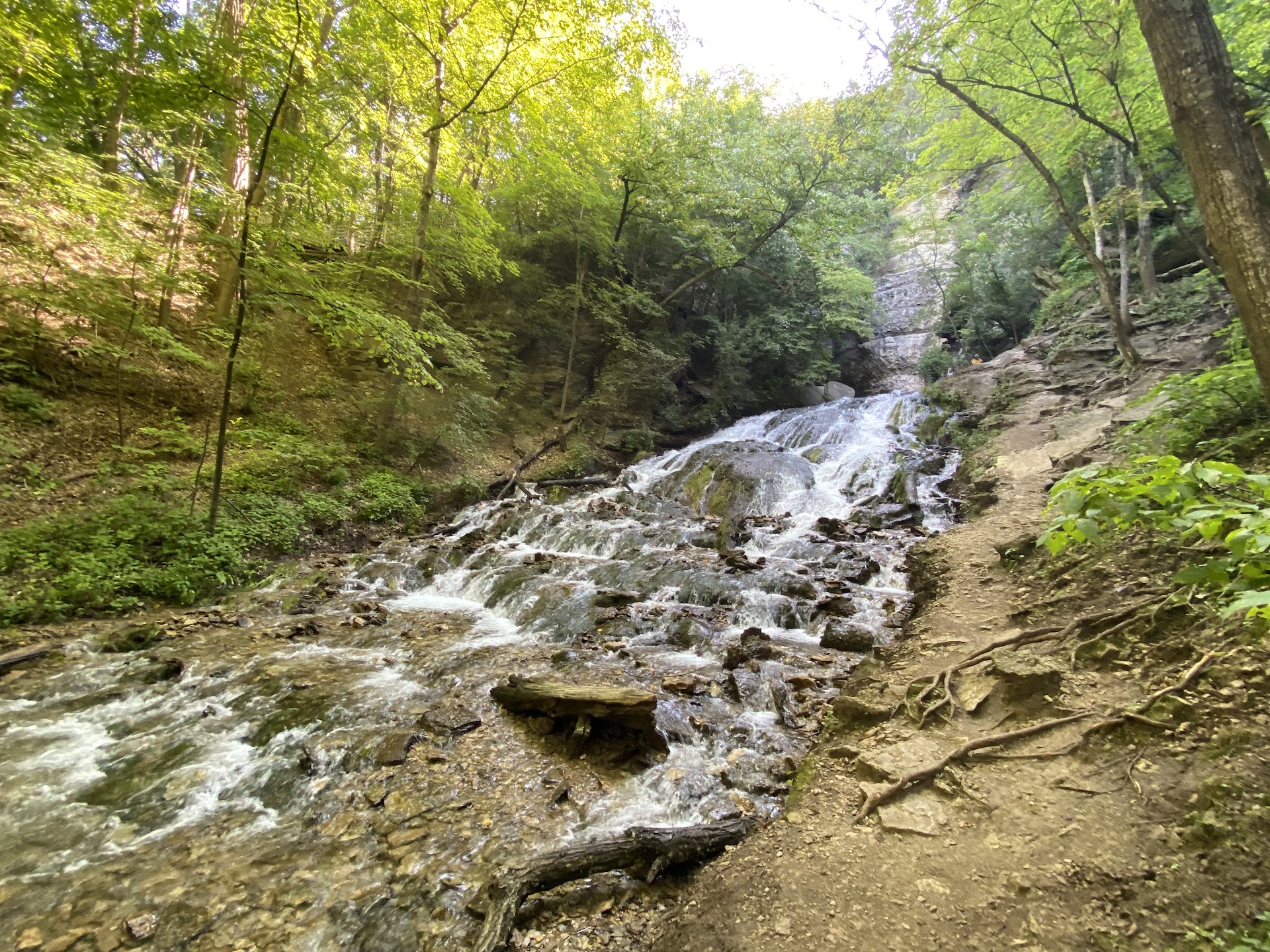 Dunning's Spring Park