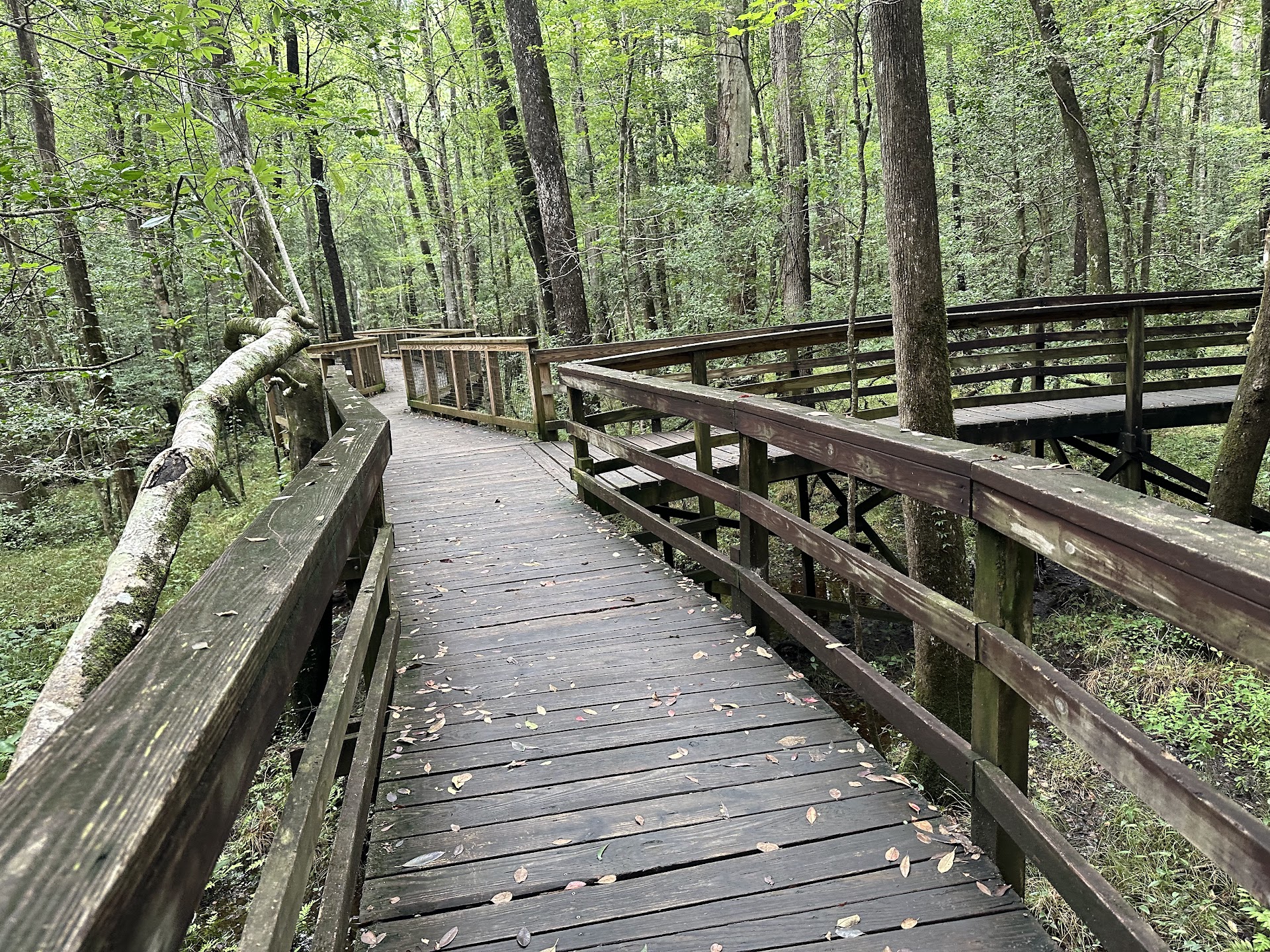 Harry Hampton Visitor Center