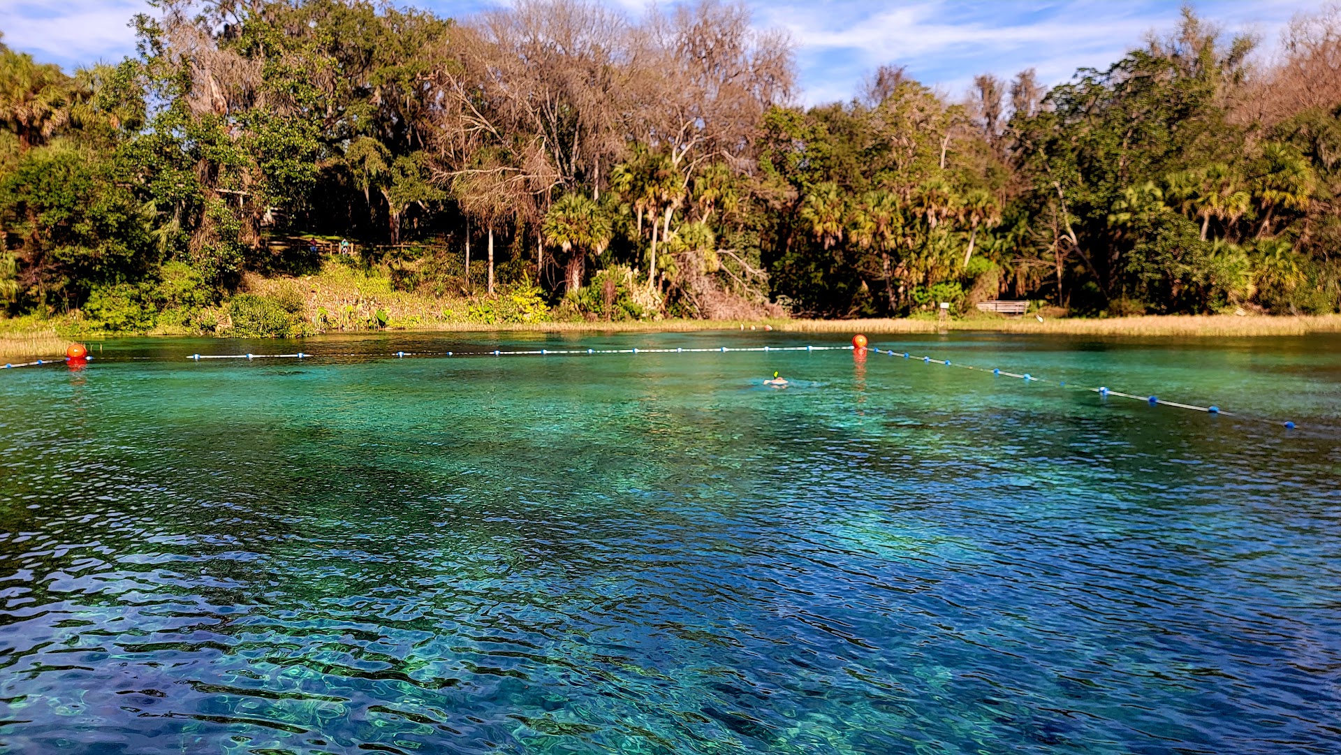 Rainbow Springs State Park