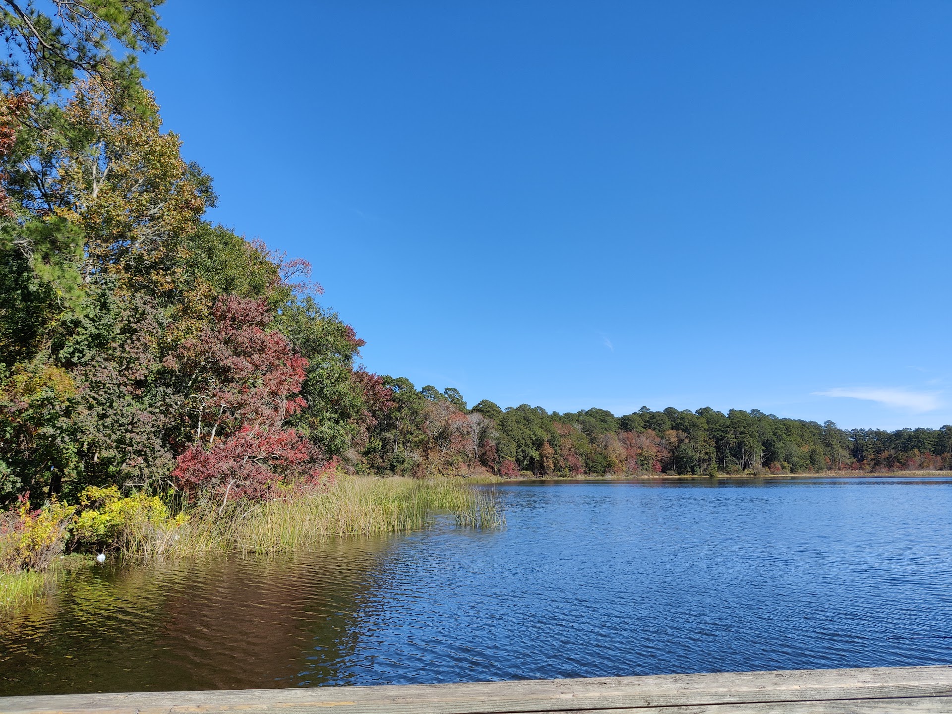 Huntsville State Park