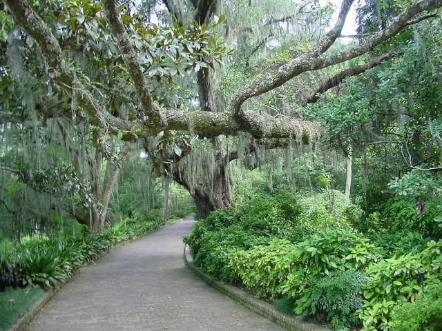 Alfred B. Maclay Gardens State Park