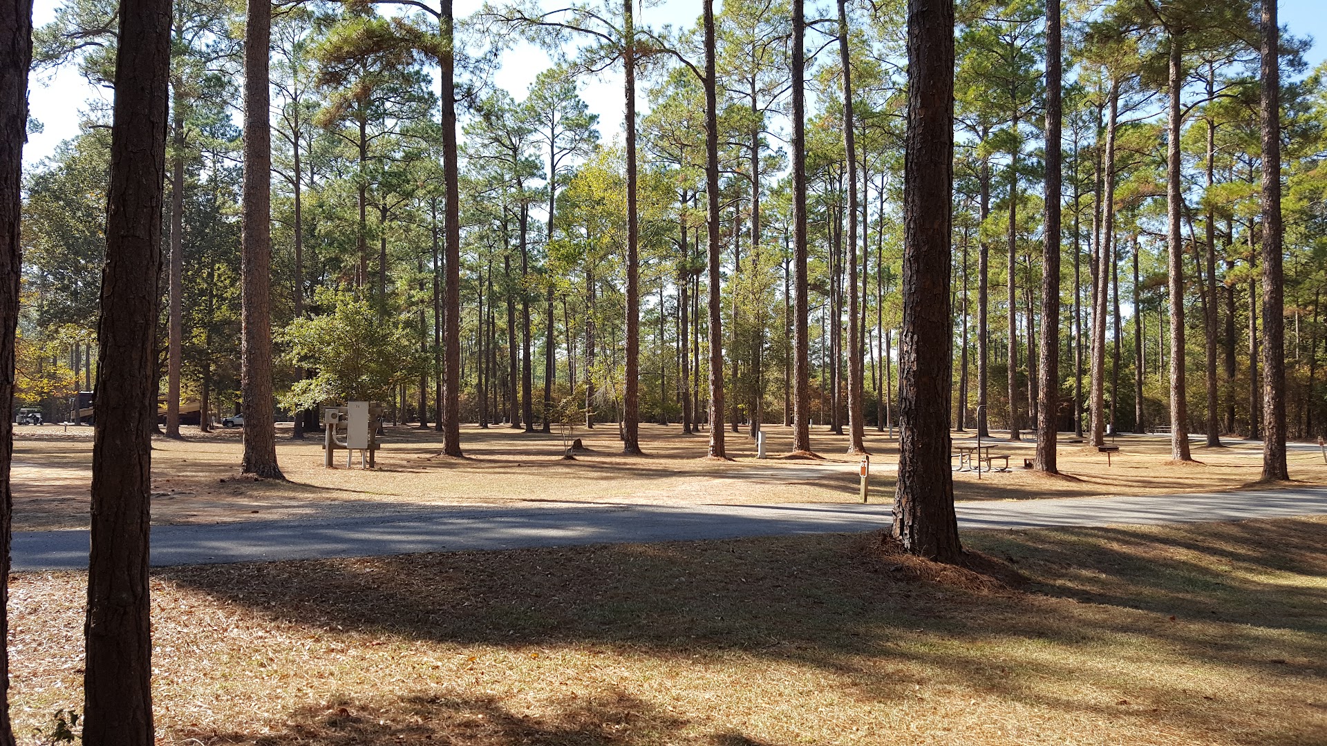 Georgia Veterans State Park