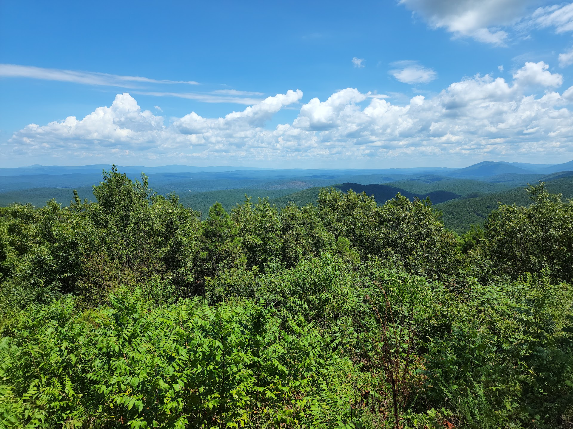 Ouachita National Forest