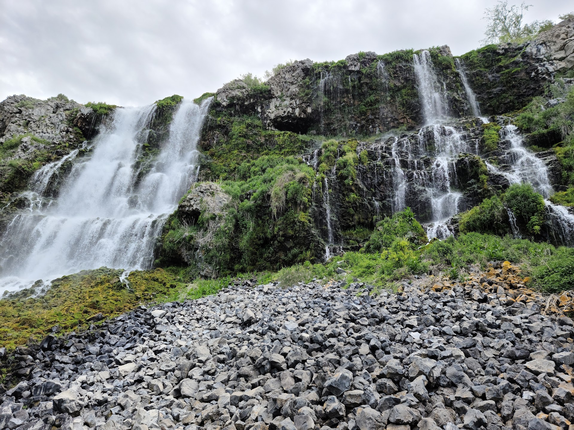 Thousand Springs State Park - Ritter Island