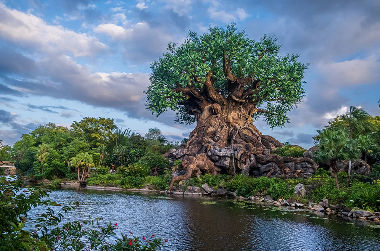 Disney's Animal Kingdom Theme Park
