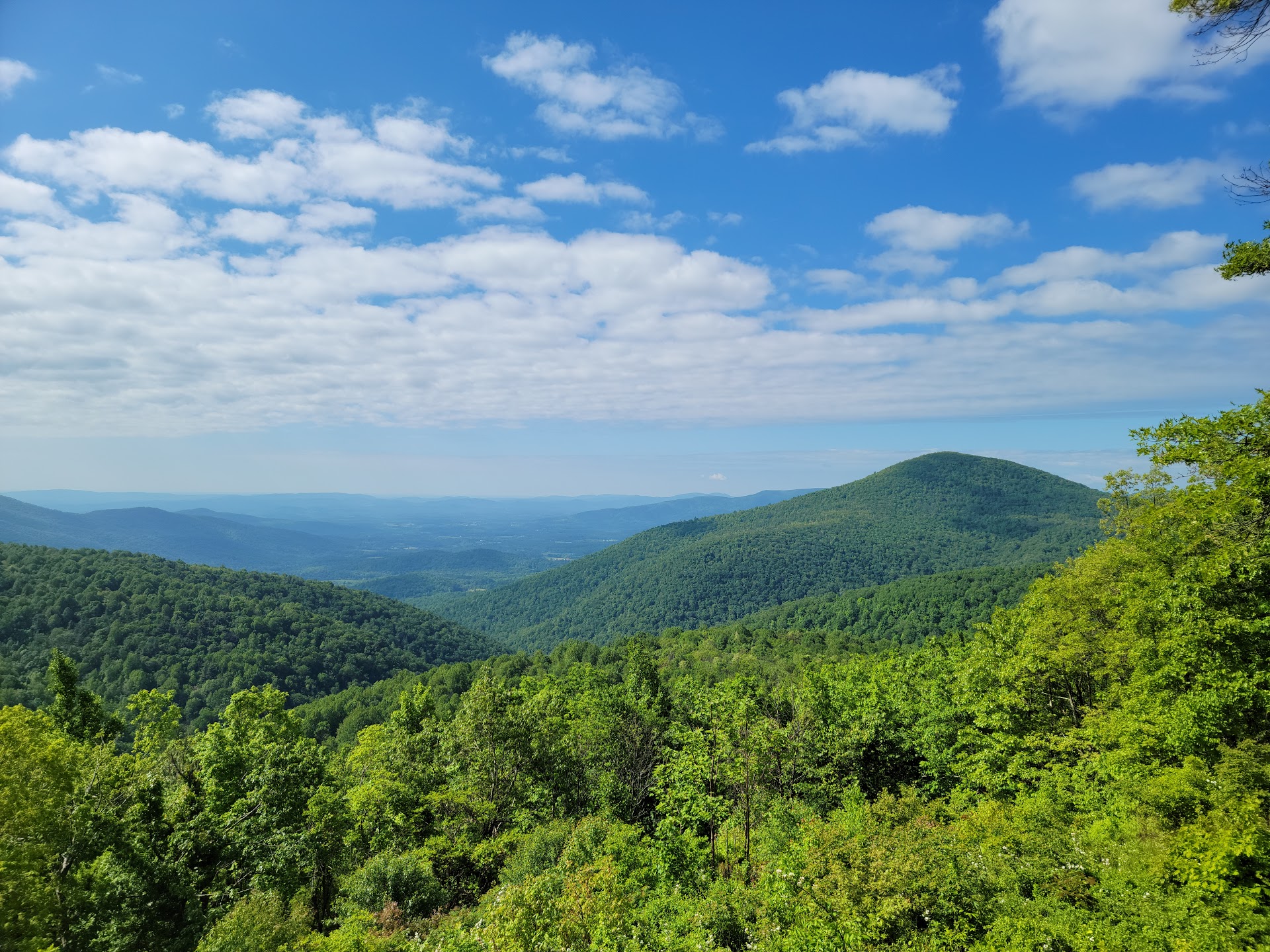 Shenandoah National Park