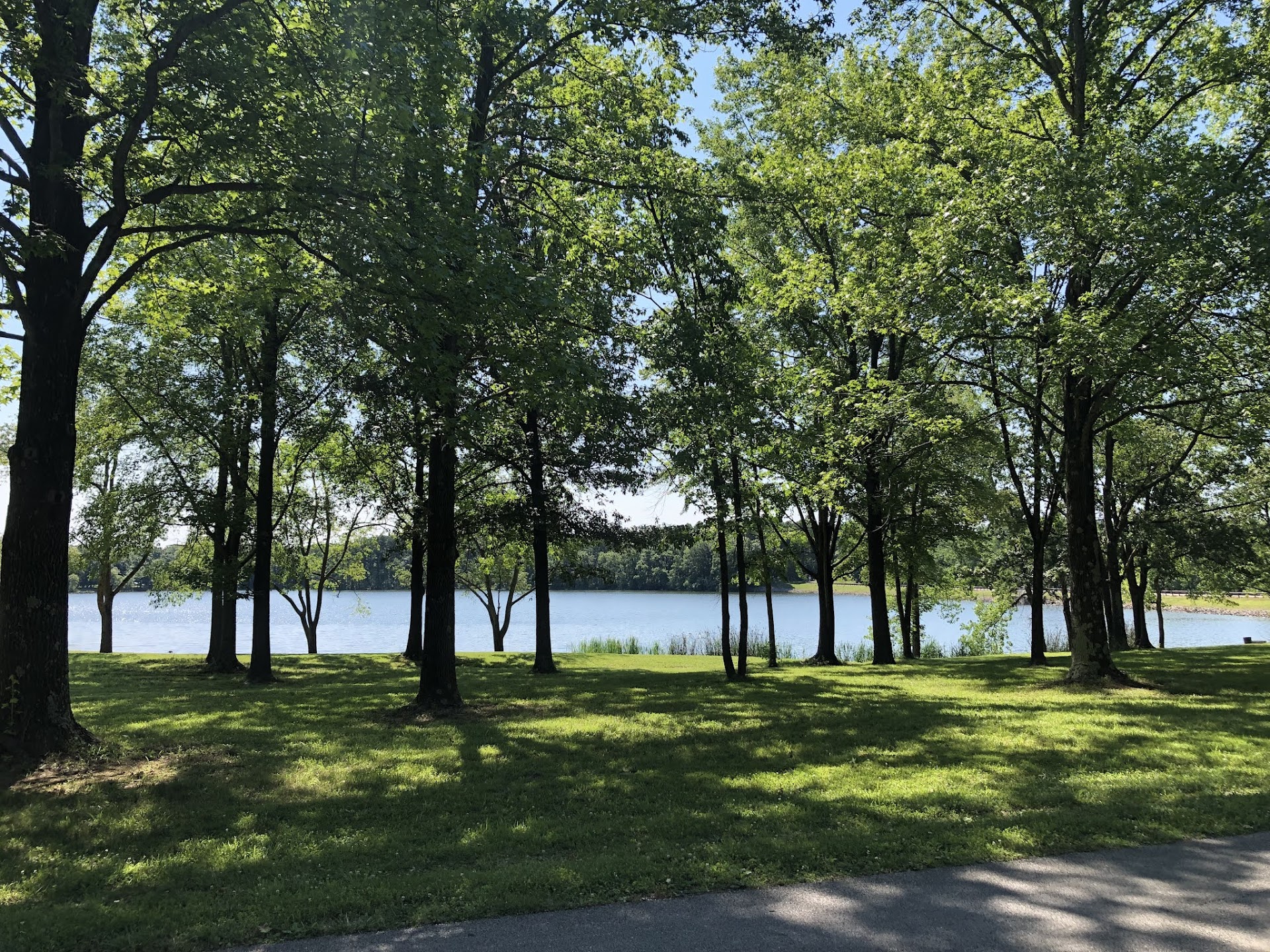 Sam Dale Lake