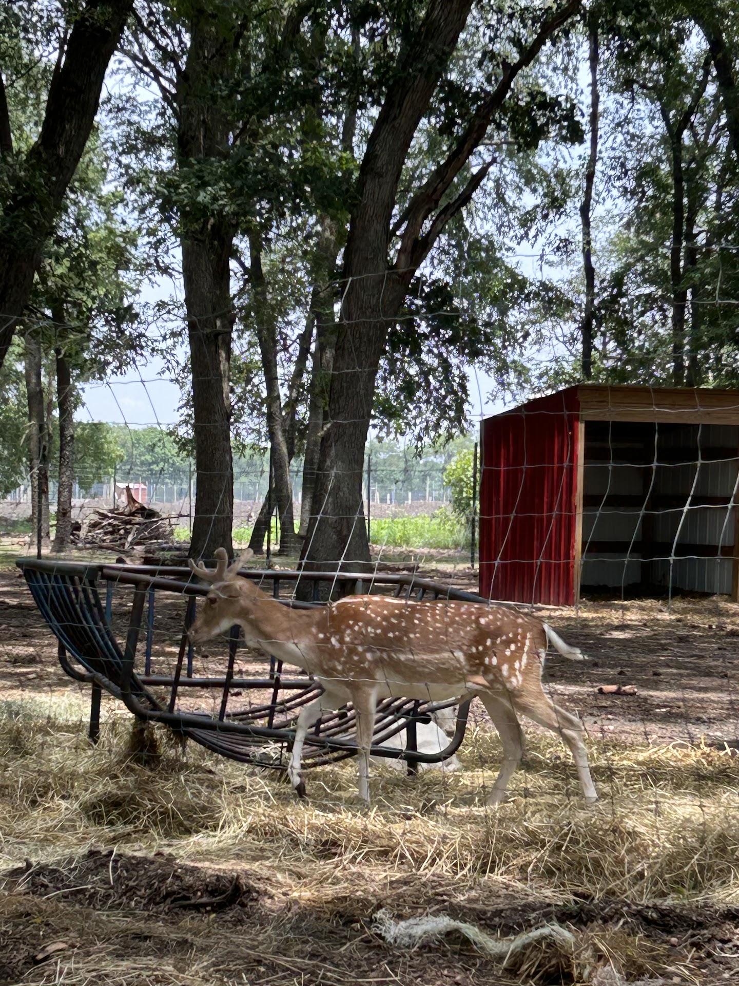 Sandy Oak Ranch
