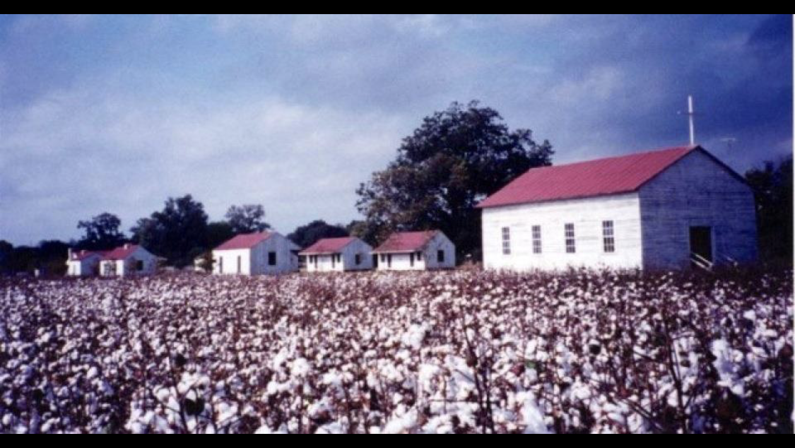 Frogmore Cotton Plantation & Gins