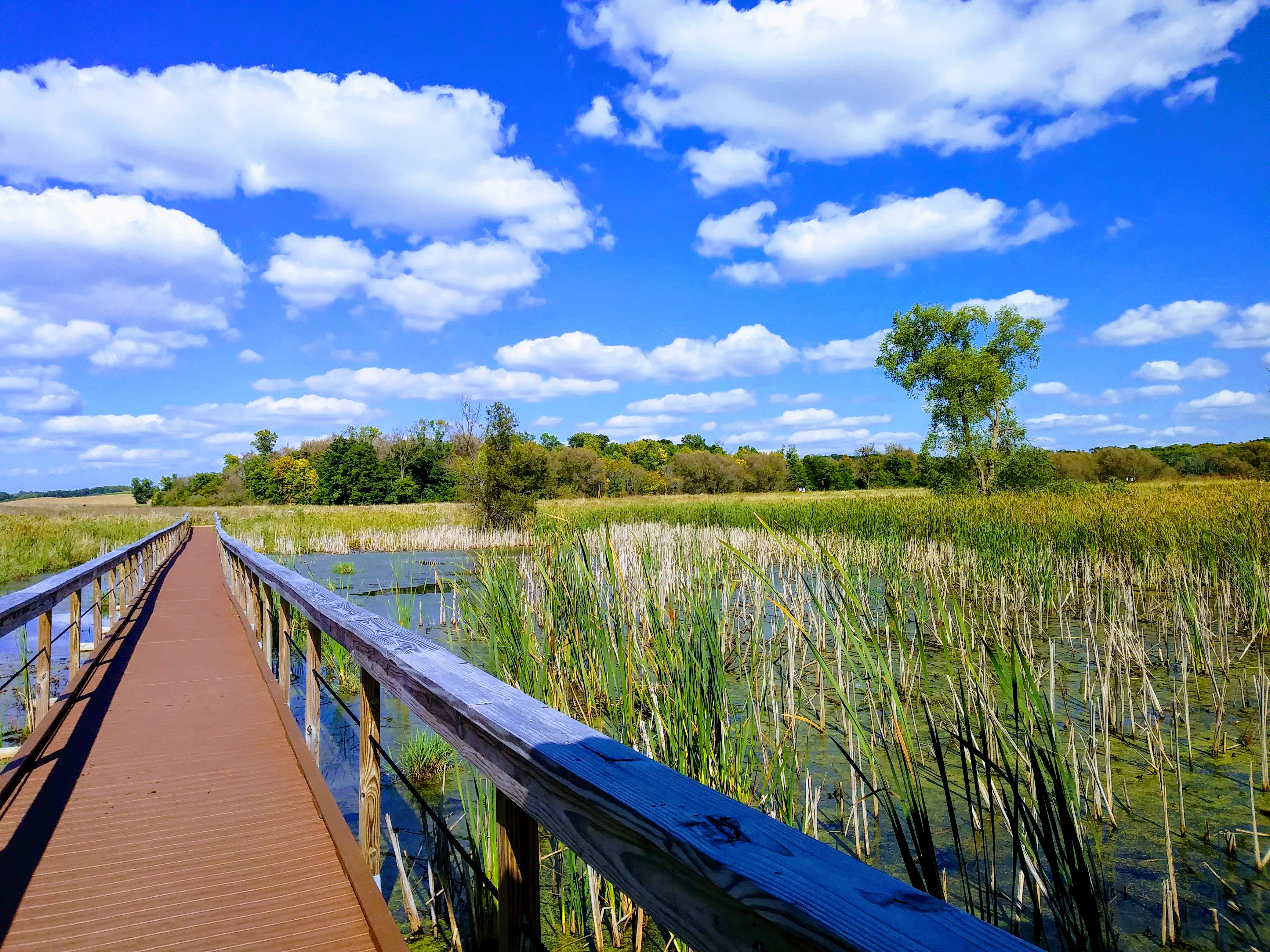 Horicon National Wildlife Refuge