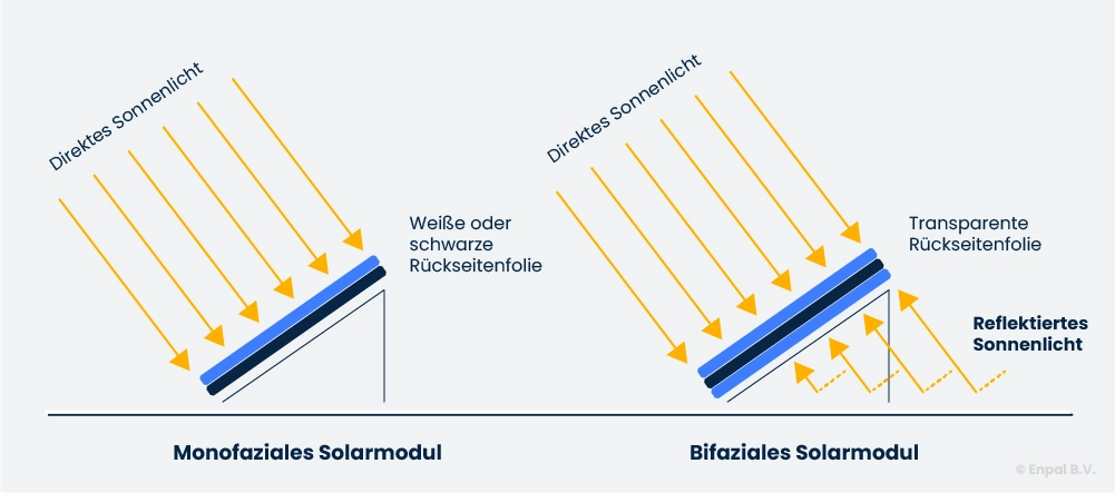 Infografik: Vergleich von monofazialem und bifazialem Solarmodul.