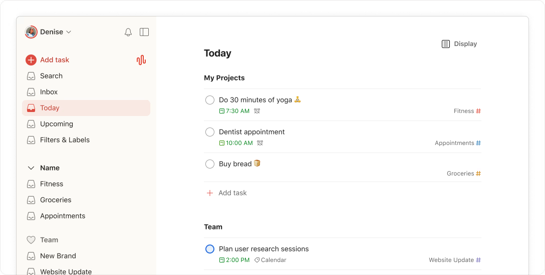Todoist task management overview showing employees and their assigned tasks.
