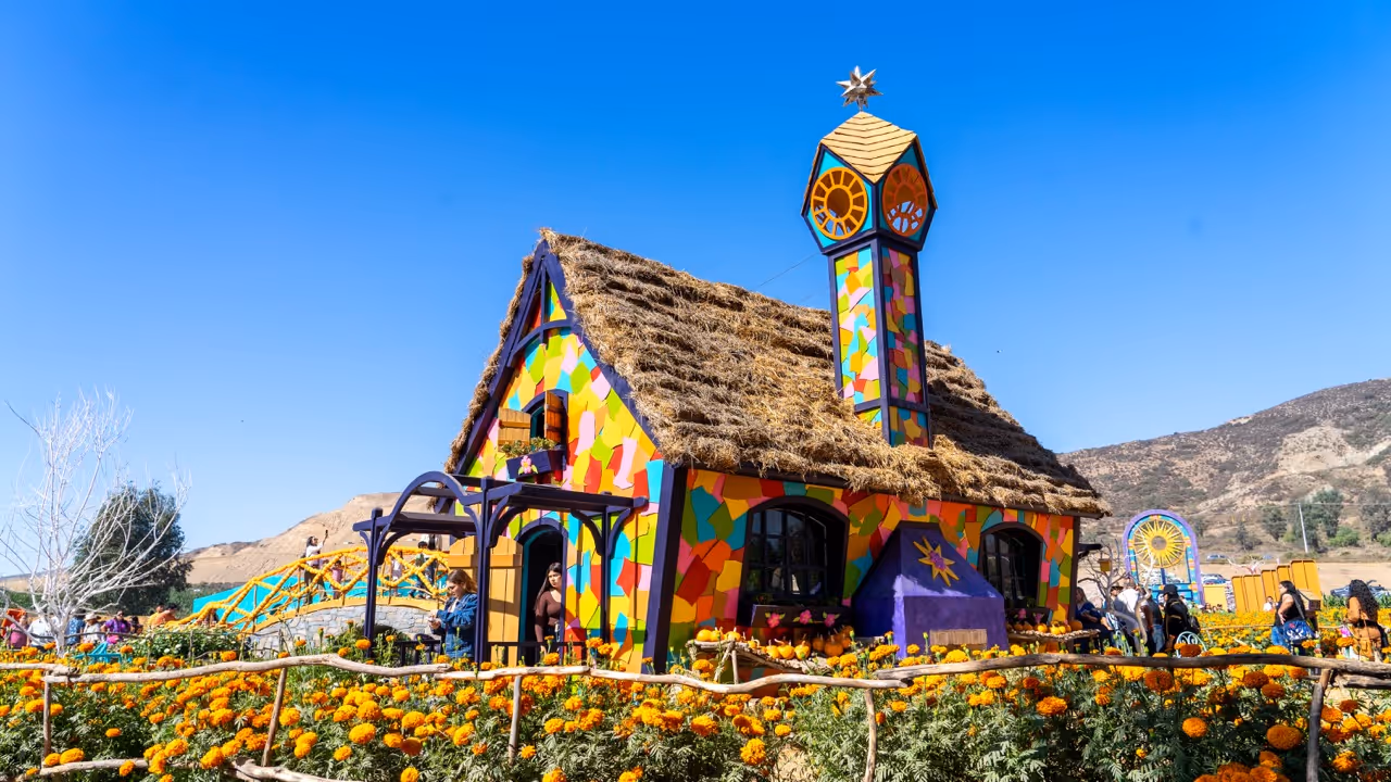 Ruta de Las Flores: Cueros de Venado