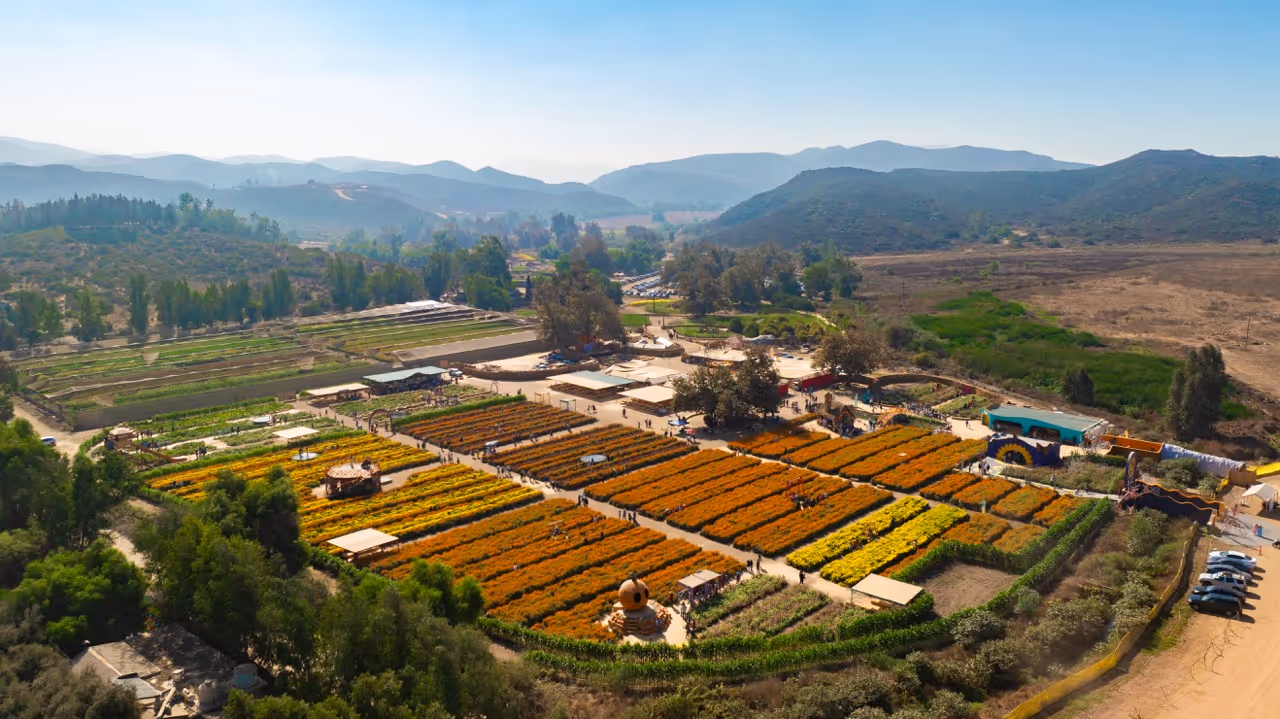 Ruta de Las Flores: Cañón El Medano