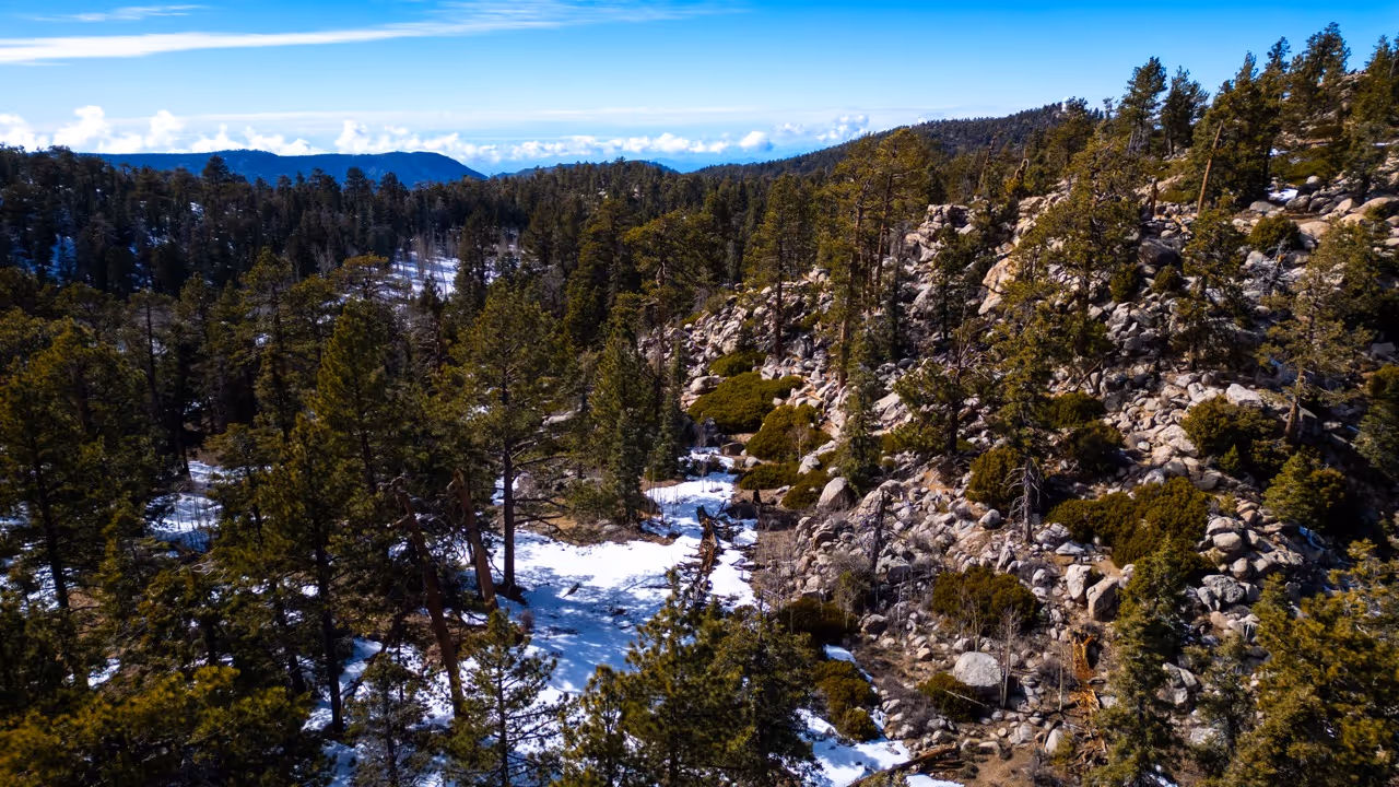 Un plano general de un paisaje de bosque nevado en Baja California, con unas montañas de fondo y un cielo azul con algunas nubes 