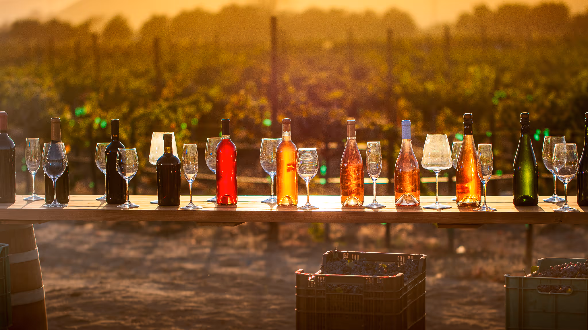 Una mesa con diferentes tipos de vinos y copas. La Capital del Vino Mexicano, Baja California. Rutas Enoturisticaas