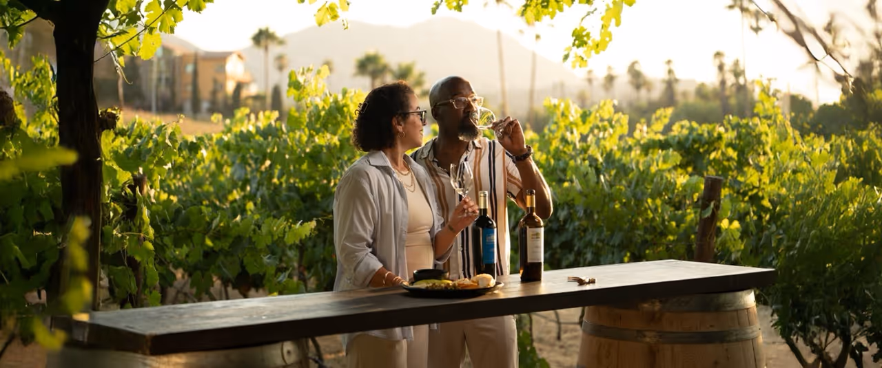 Una pareja degustando vino en un viñedo de Baja California. rutas Enoturisticas