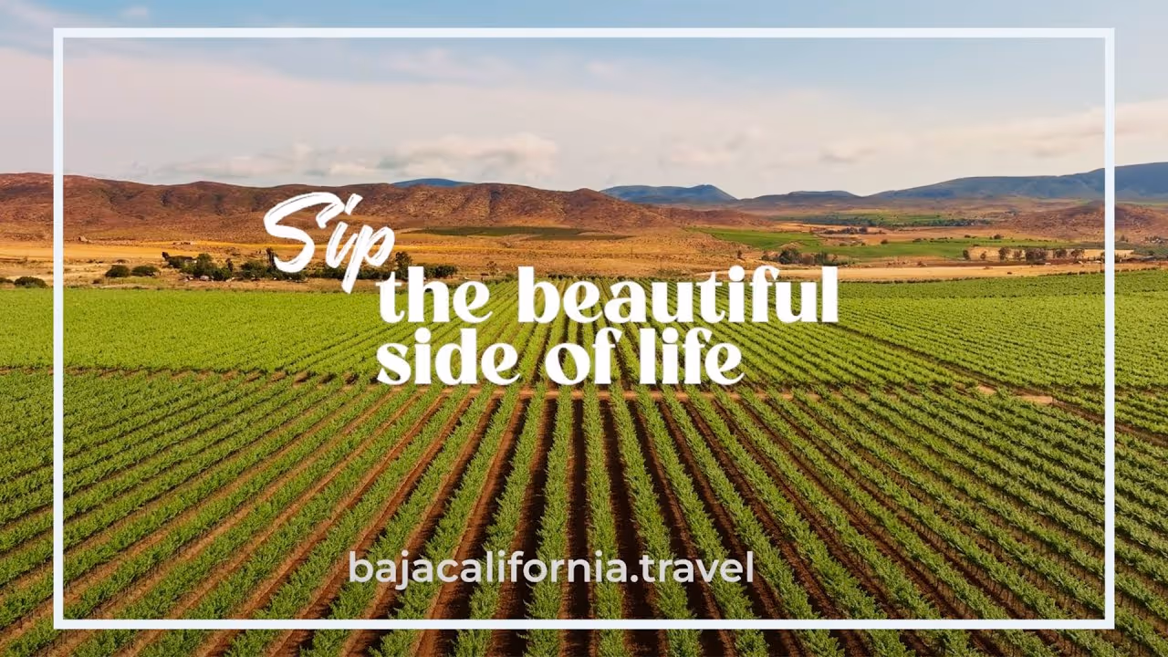 Baja California, Sip the beautiful side of life. Video de campaña