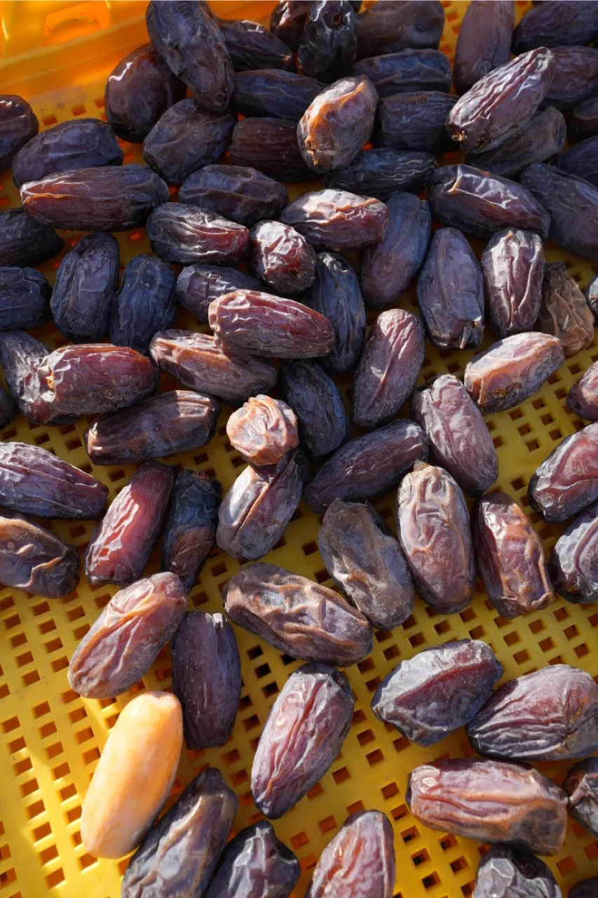 Una chica con ropa azul, en un campo de flores moradas sosteniendo una canasta con vegetales, mirando a una montala lejana. Ruta de las flores