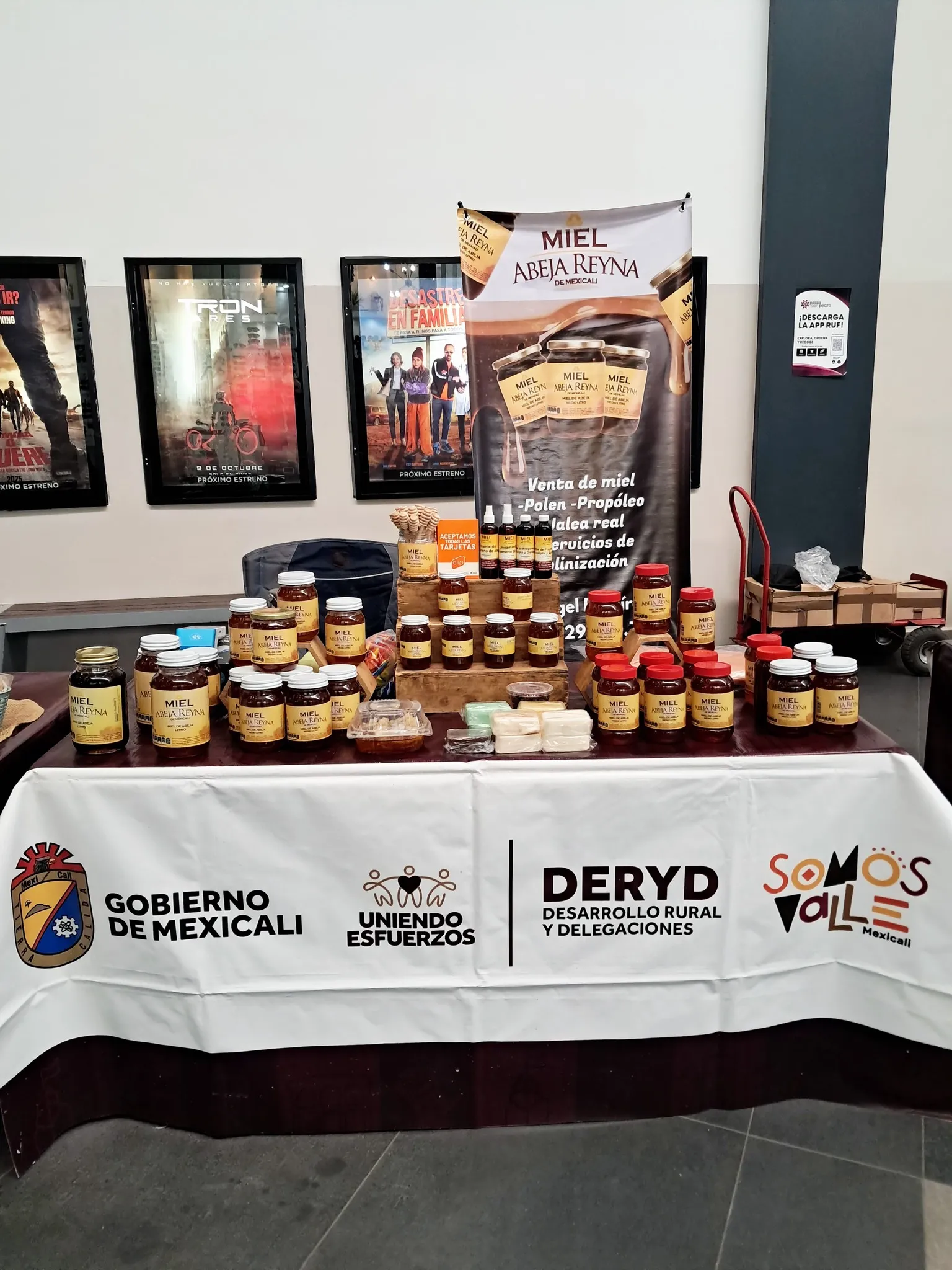 Close up a unos girasoles en un campo de girasoles con efecto bokeh. Ruta de las flores