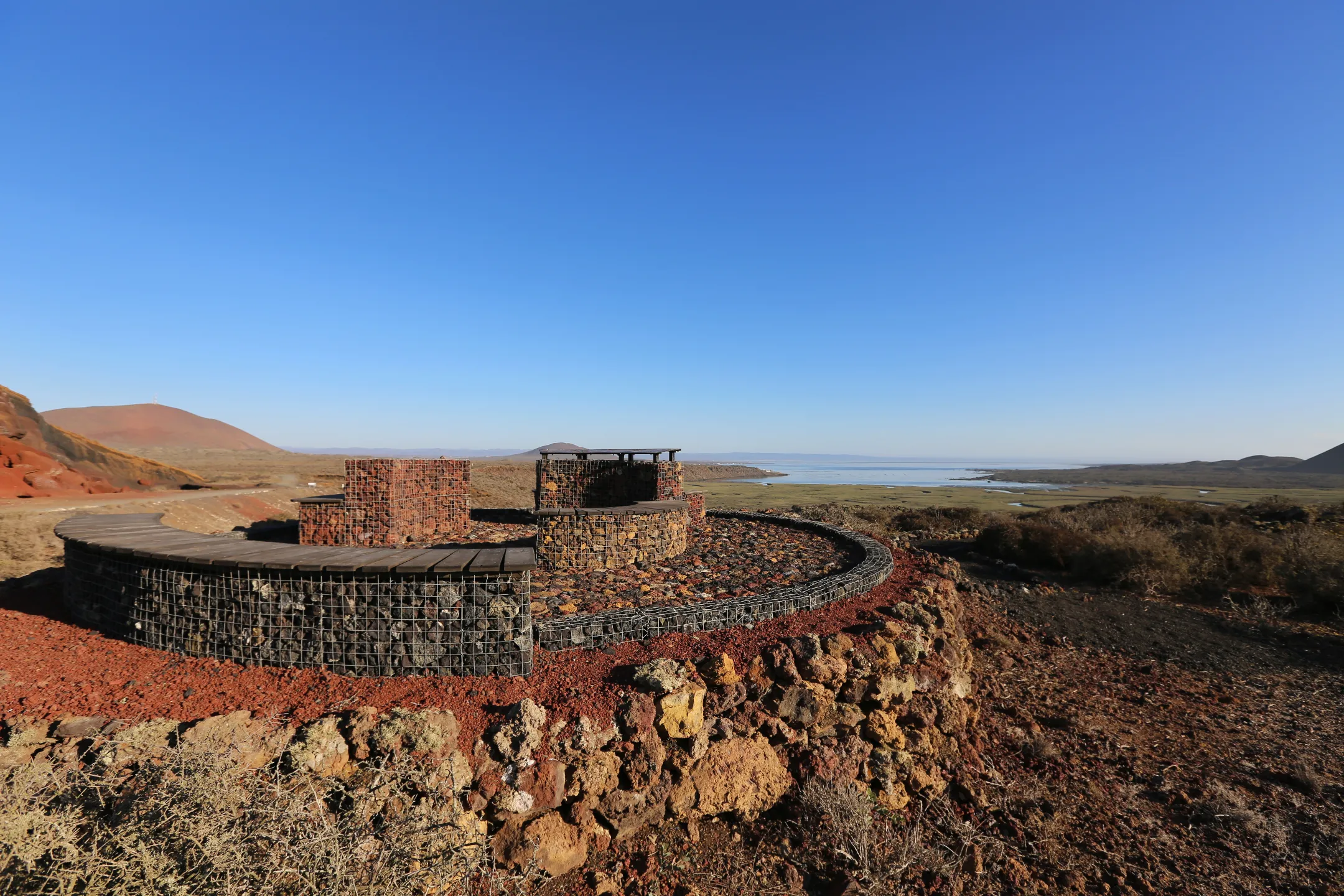 Un plano general de un campo de flores con personas recorriendo y unos arboles de fondo. Ruta de las flores