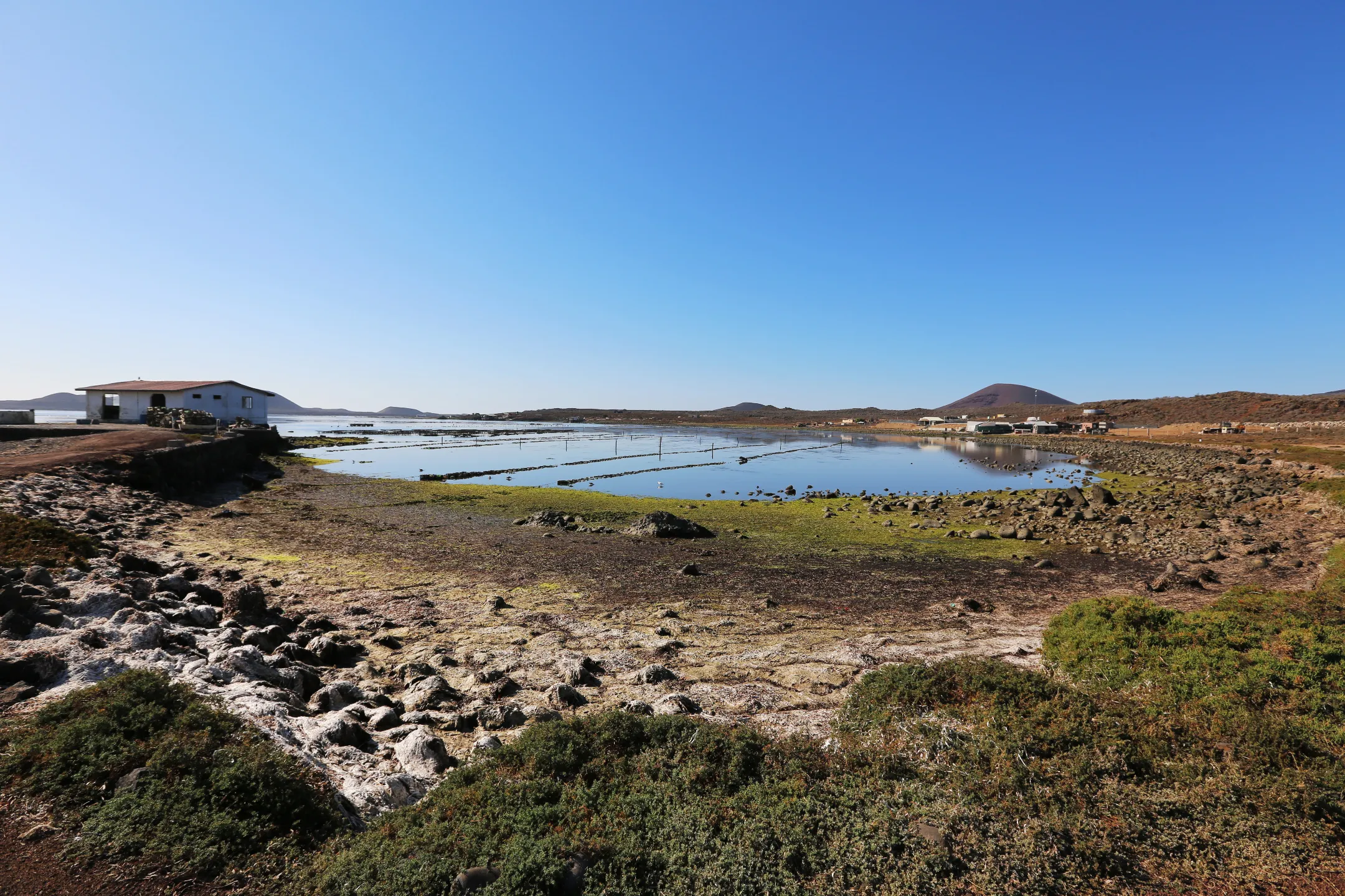 Dos mujeres observando flores de cerca. Ruta de las flores