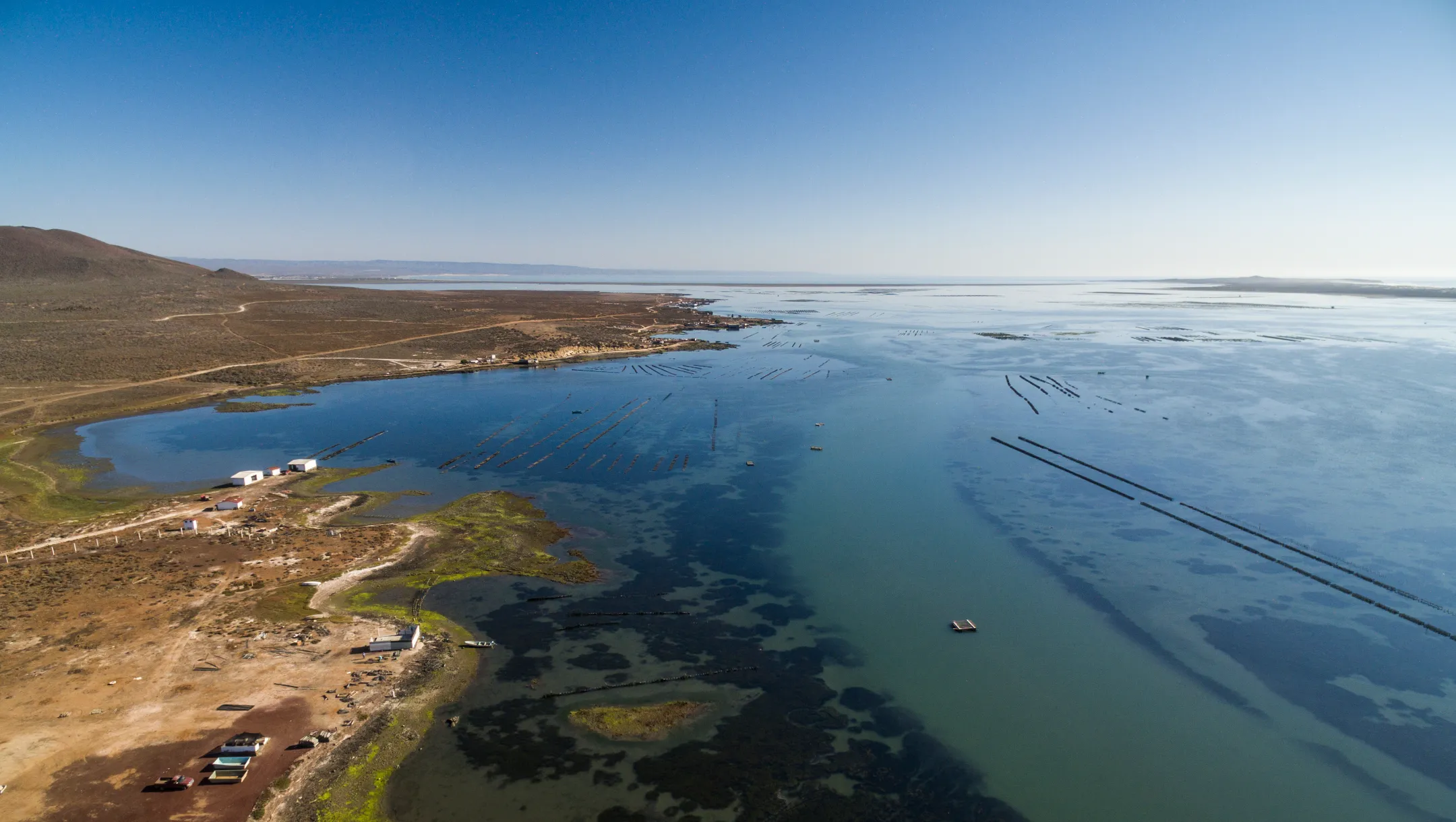 Toma aerea de un rancho floricultor, con muchos campos de flores y personas recorriendolos. Ruta de las flores