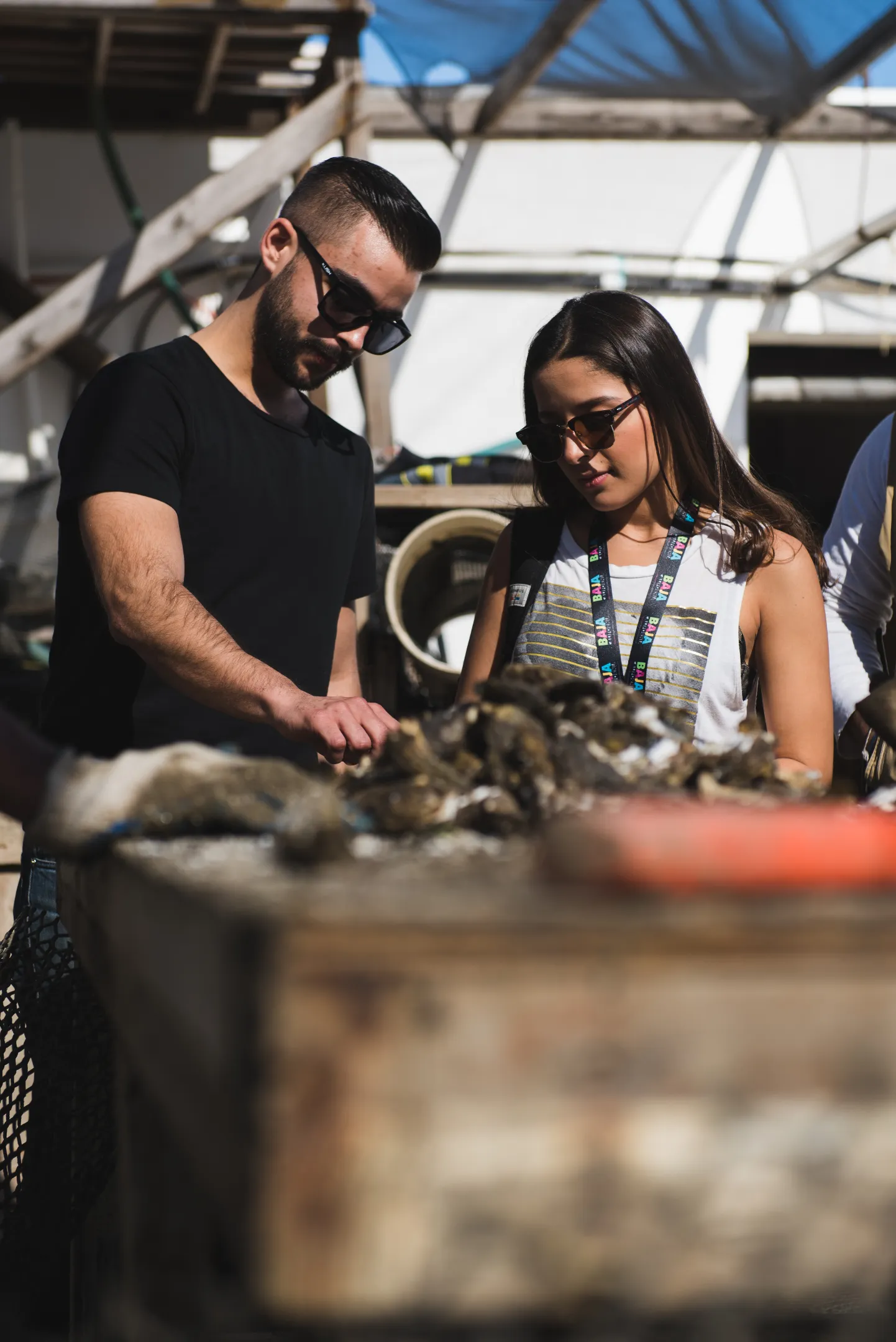 Una chica con ropa azul, en un campo de flores moradas sosteniendo una canasta con vegetales, mirando a una montala lejana. Ruta de las flores