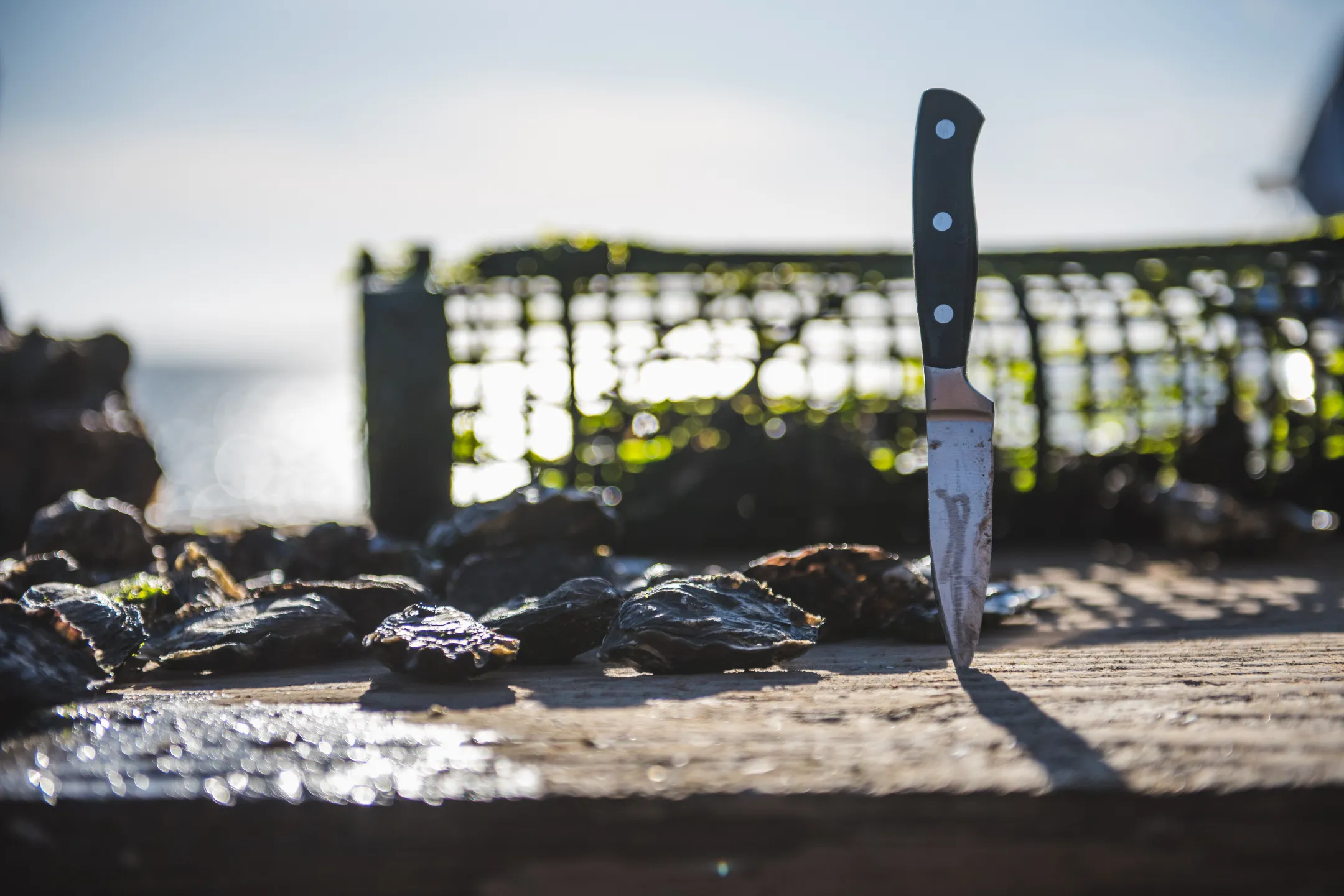 Una chica con un sombrero azul sosteniendo una canasta con vegetales, en un campo de flores con un cielo azul, viendo hacia una montaña lejana. Ruta de las flores