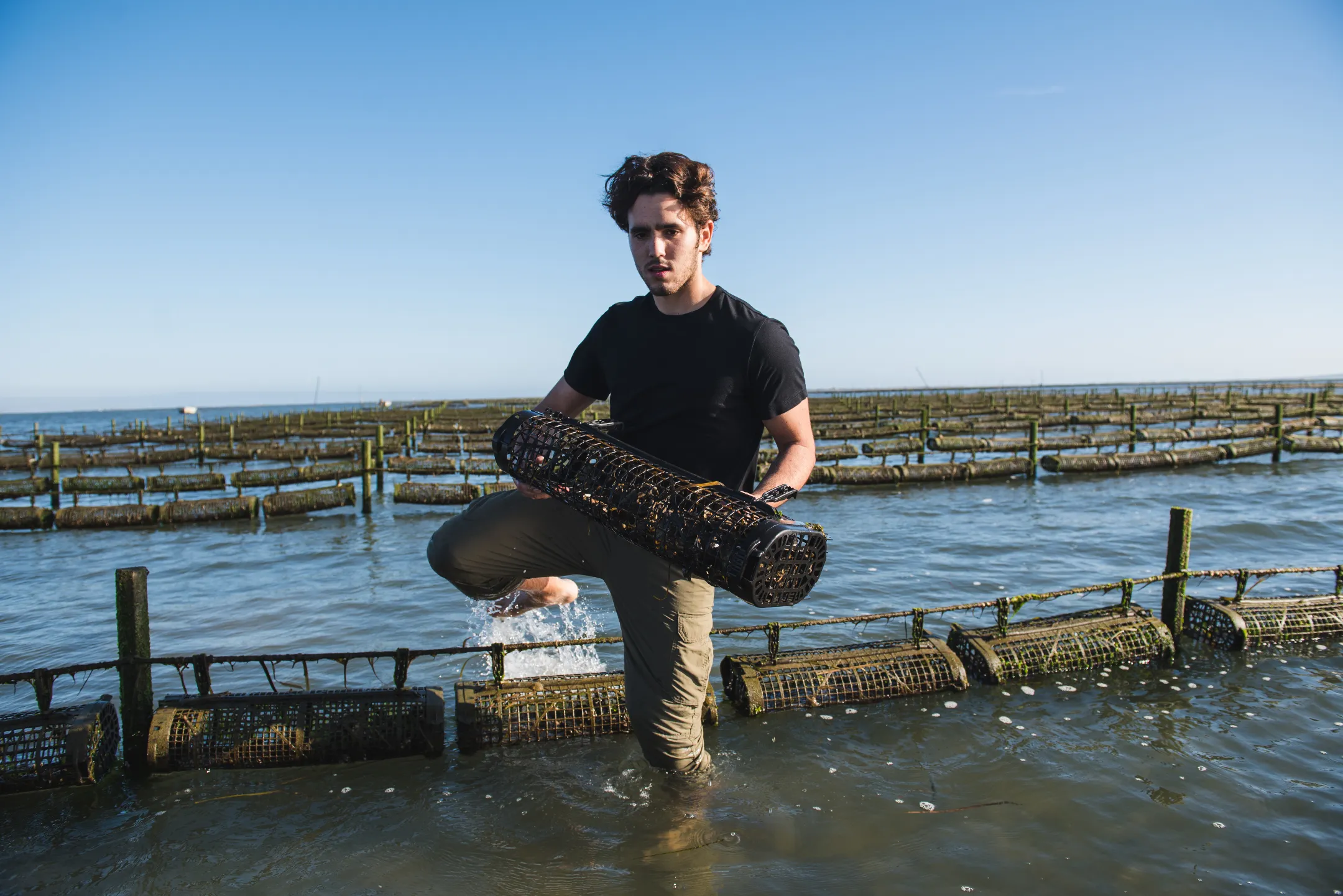 Close up a unos girasoles en un campo de girasoles con efecto bokeh. Ruta de las flores
