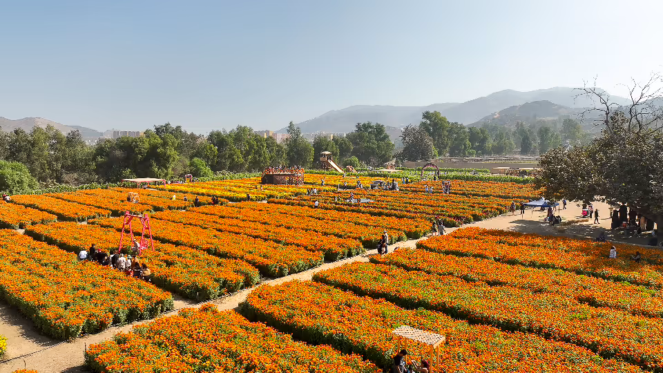Chica relajada en un Spa Turístico. Rosarito, Baja California