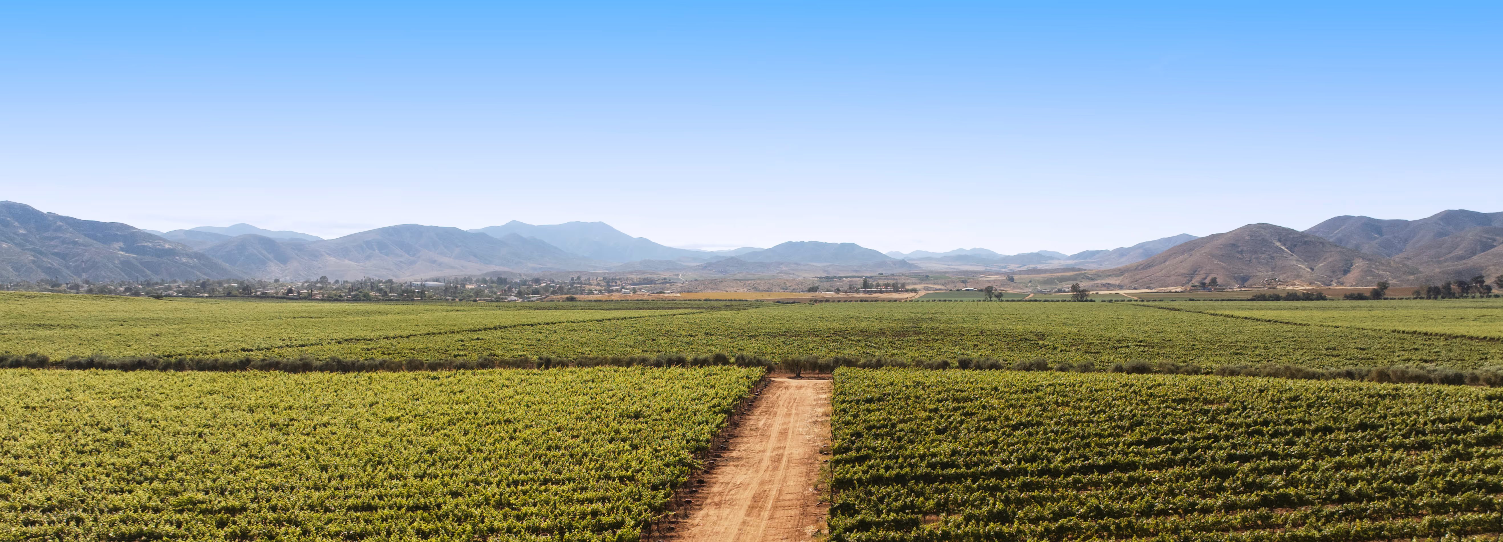 Relaxed girl in a Touristic Spa. Rosarito, Baja California