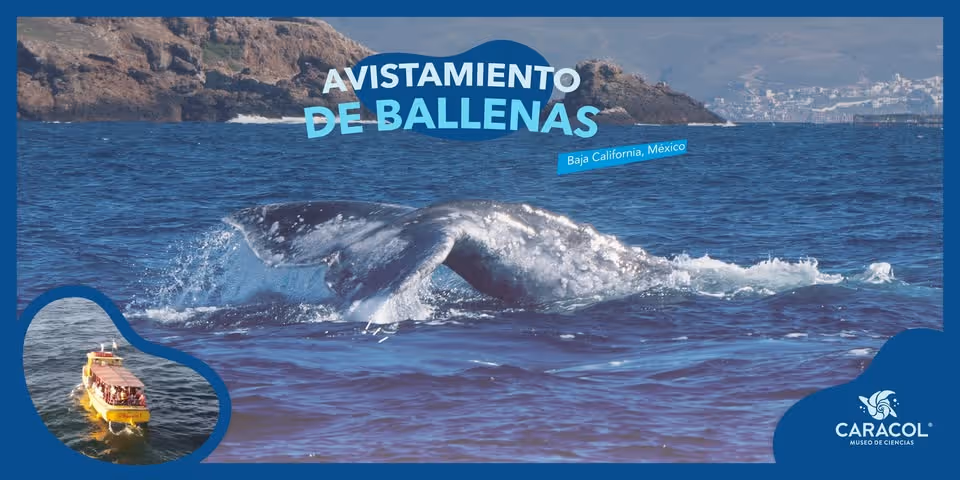 Chica relajada en un Spa Turístico. Rosarito, Baja California