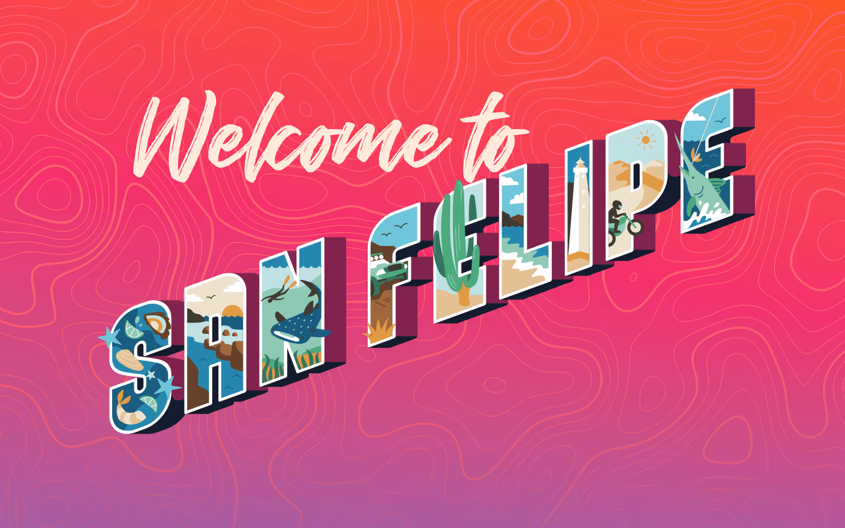 Enjoy the warm beaches of beautiful San Felipe