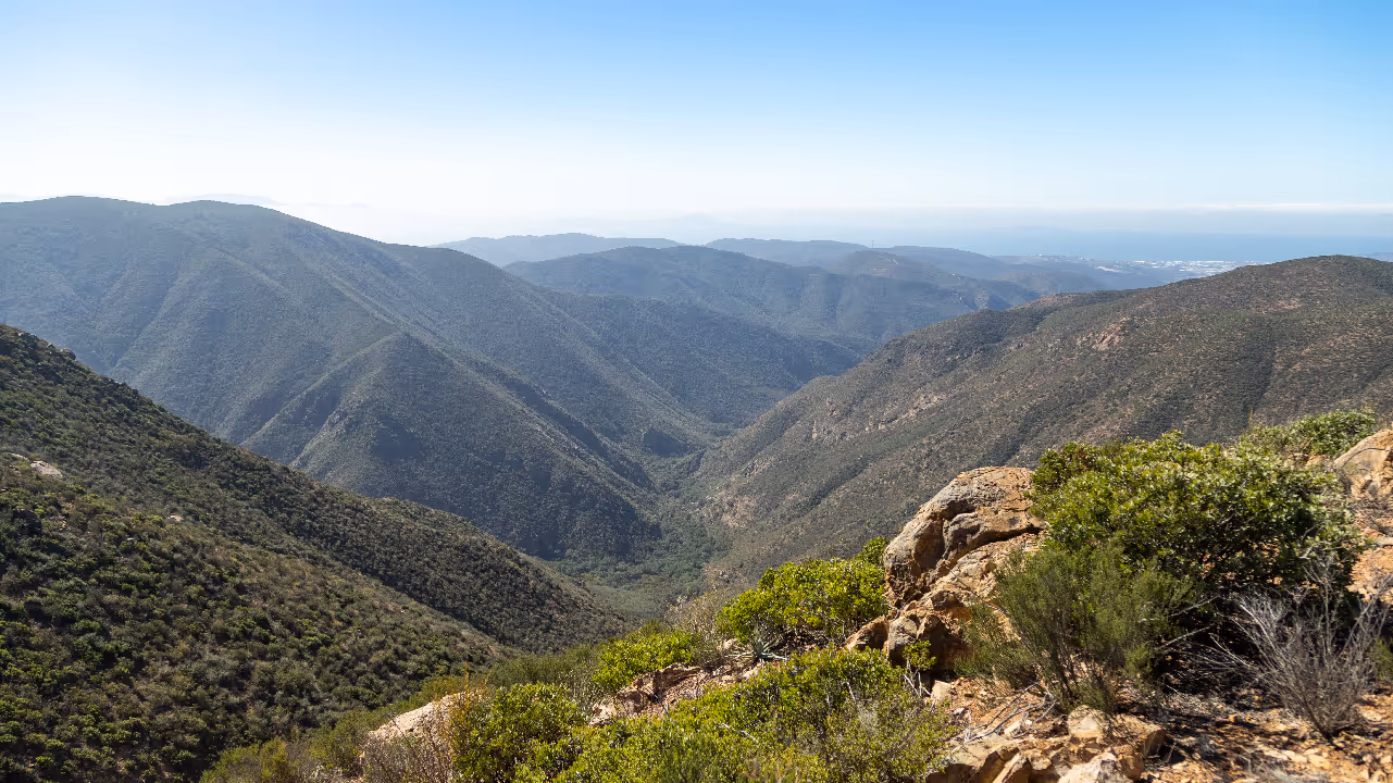 Ruta de Las Flores: Cañón Histórico Rosarito
