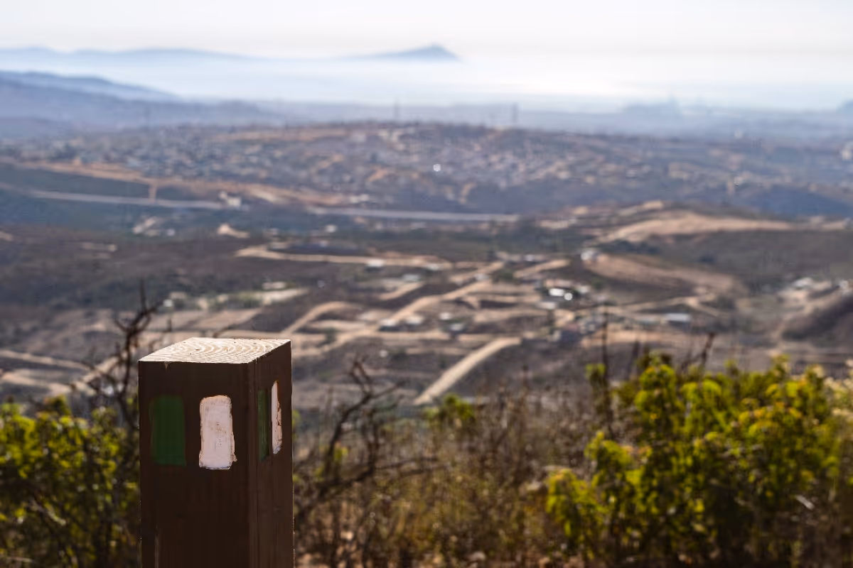 Hiking in the Attenuatas Forest