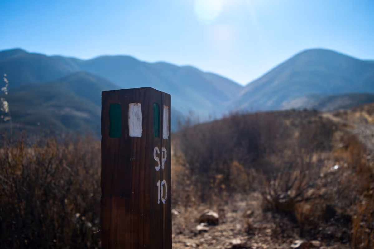 Ruta de Las Flores: Cañón Histórico Rosarito