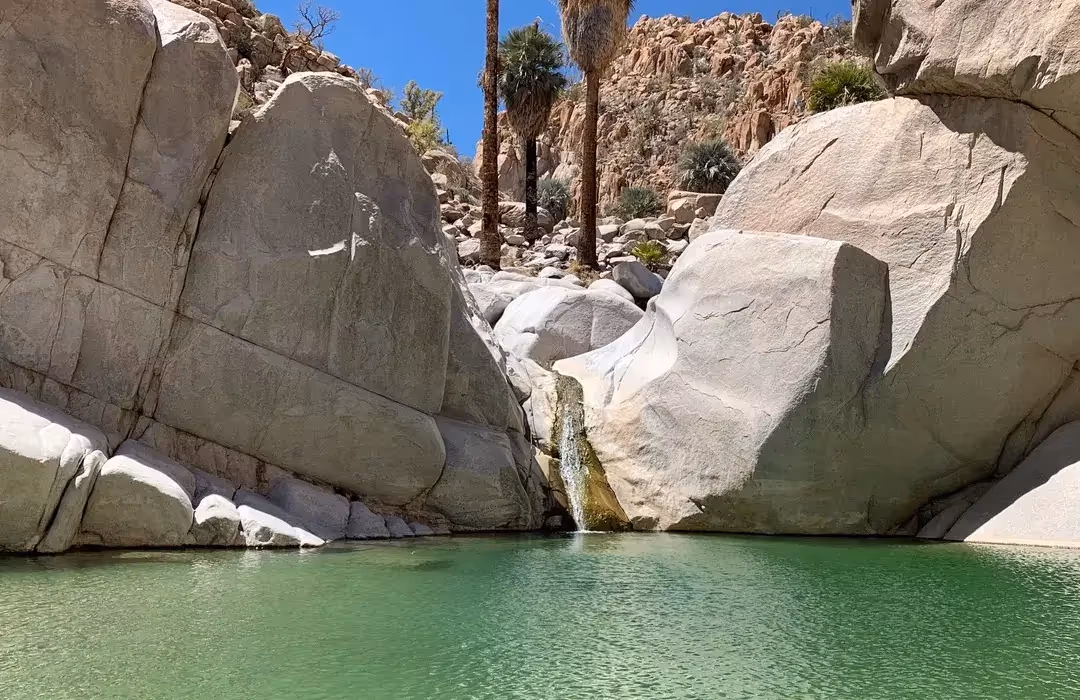 The Santa María Oasis