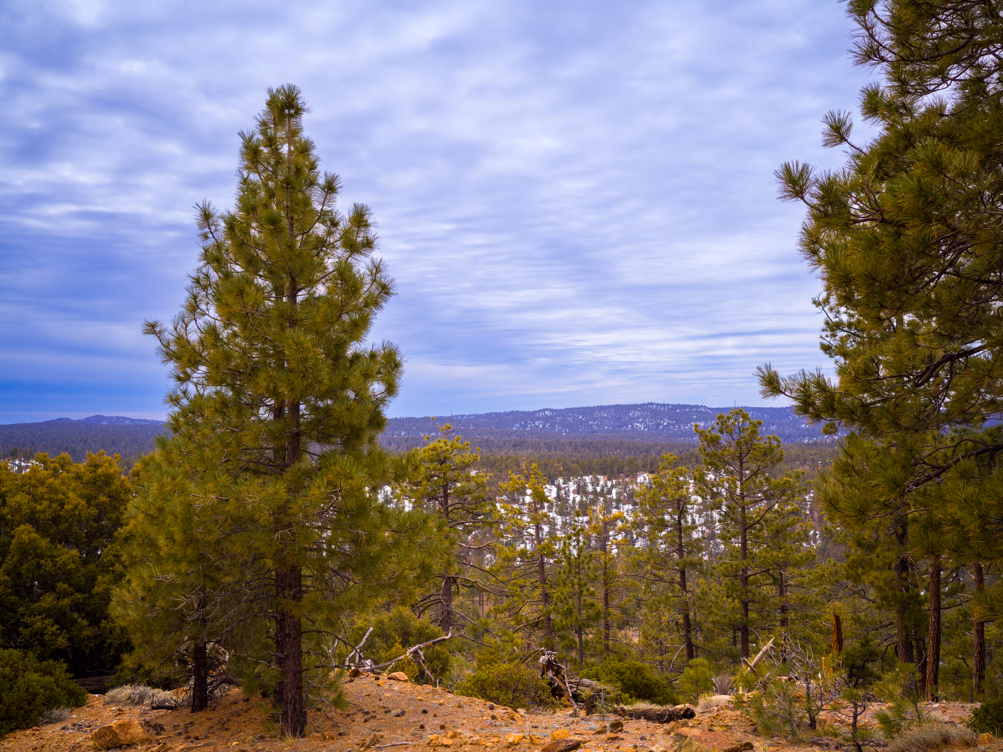 San Pedro Mártir National Park
